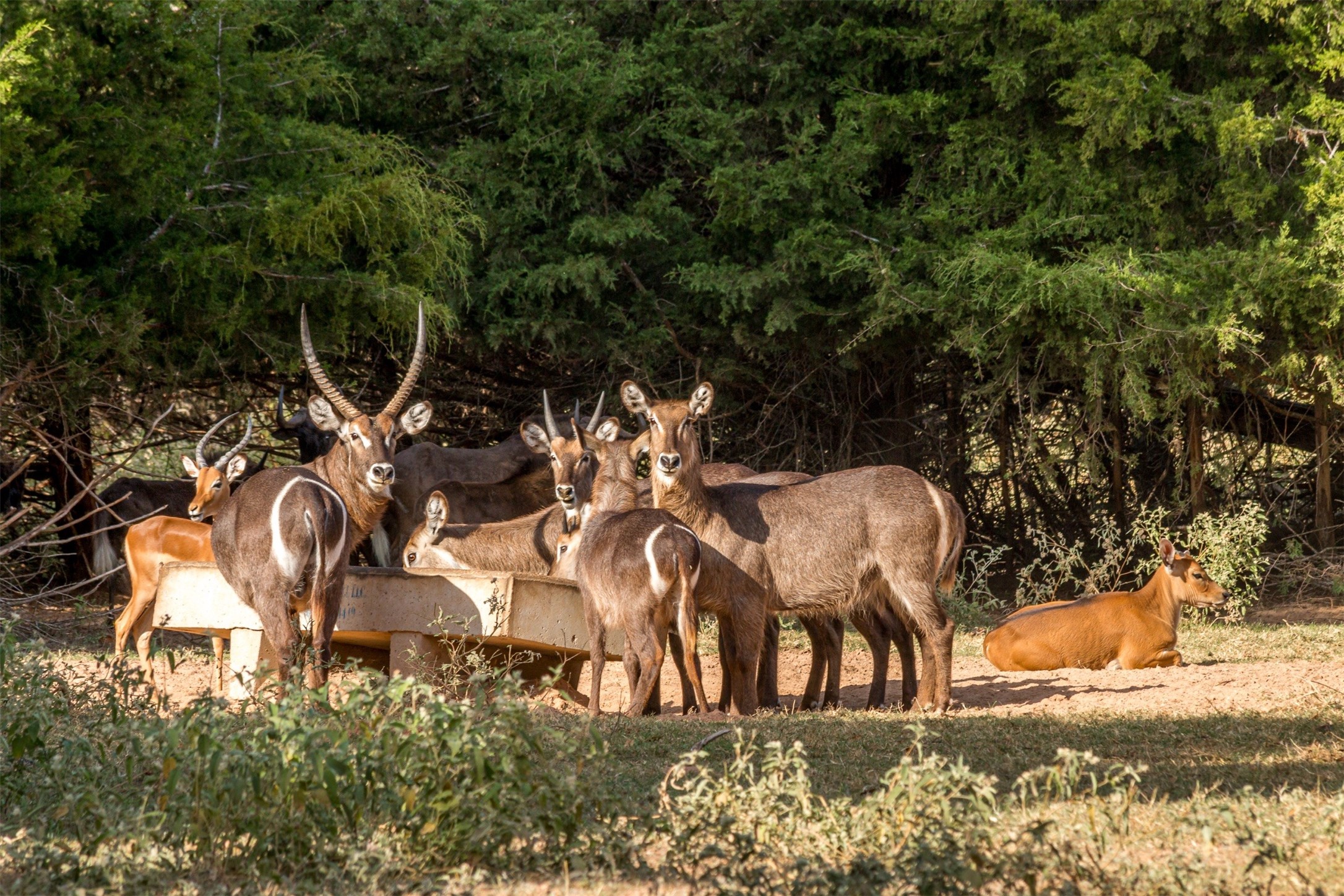 TBD W HWY 79, Franklin, TX, 77856