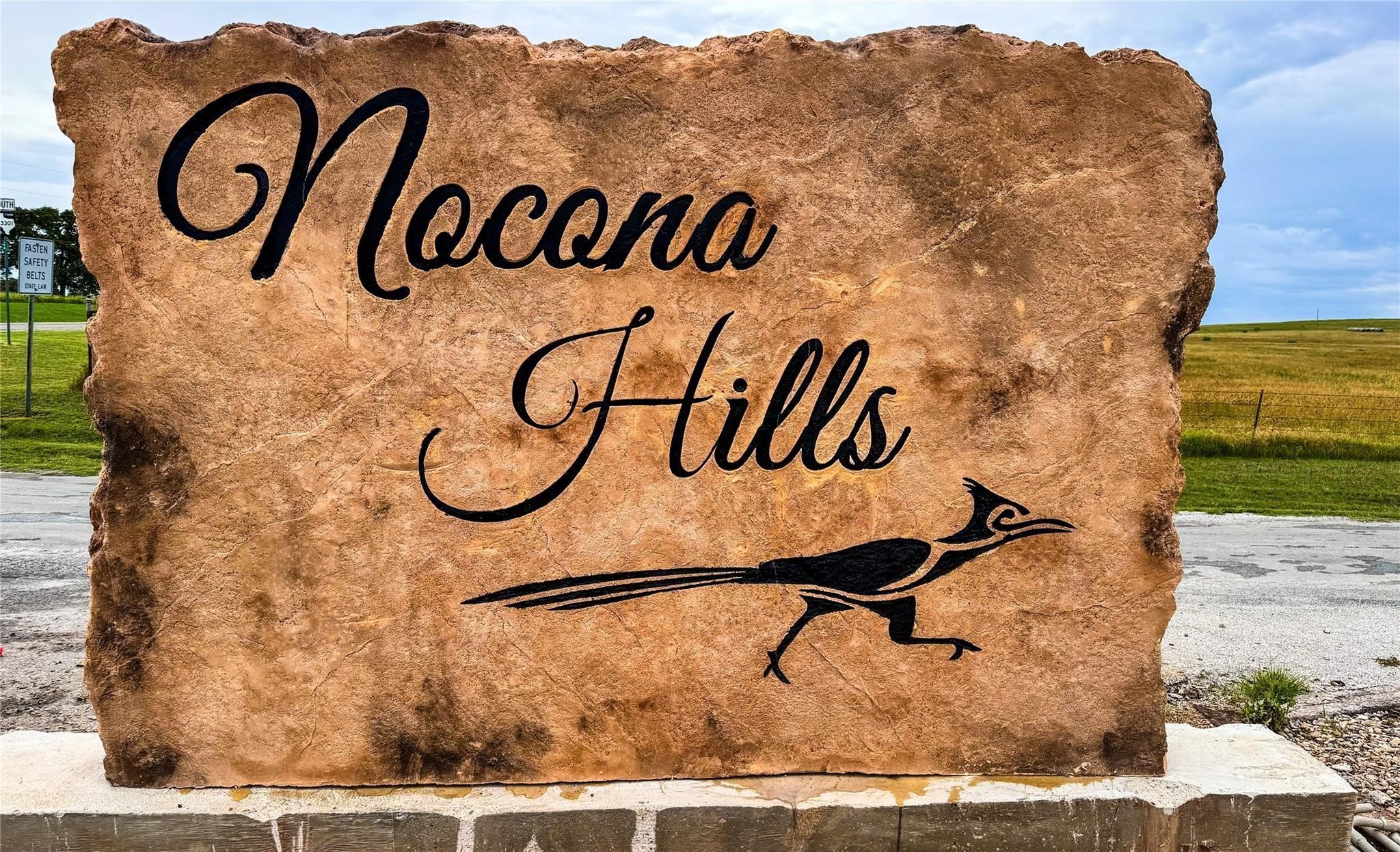158 Crescent Drive, Nocona, TX, 76255