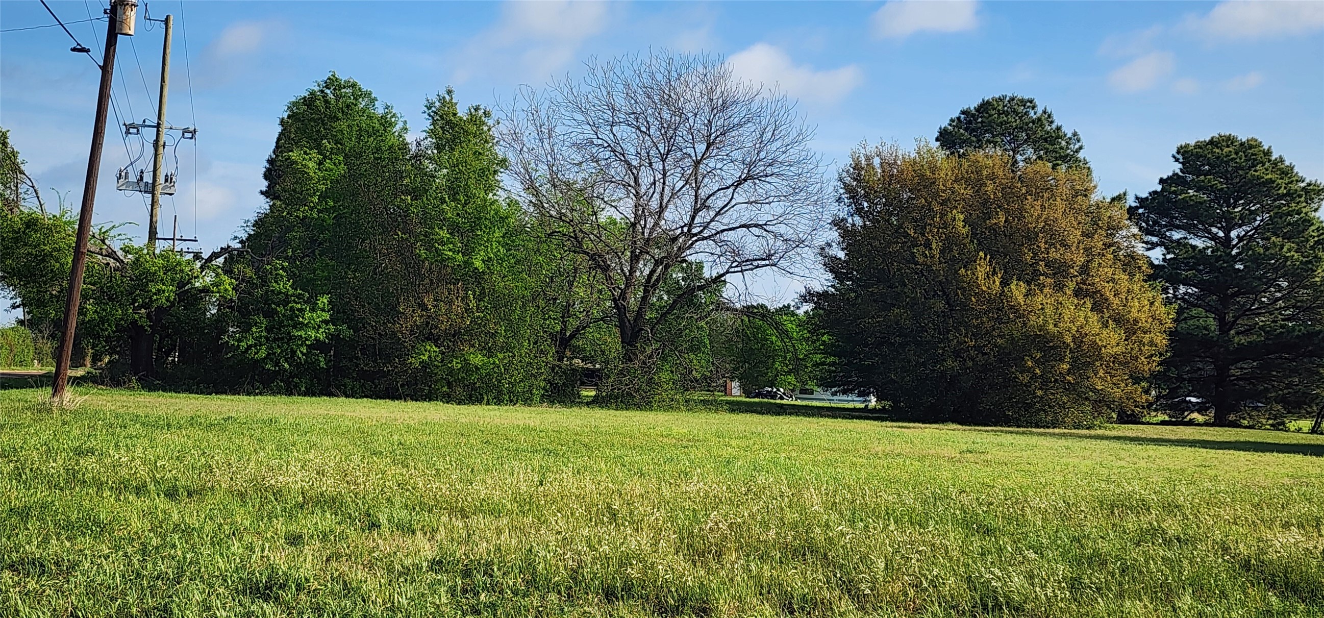 TBD Buddy Ruth Road, Trinidad, TX, 75163