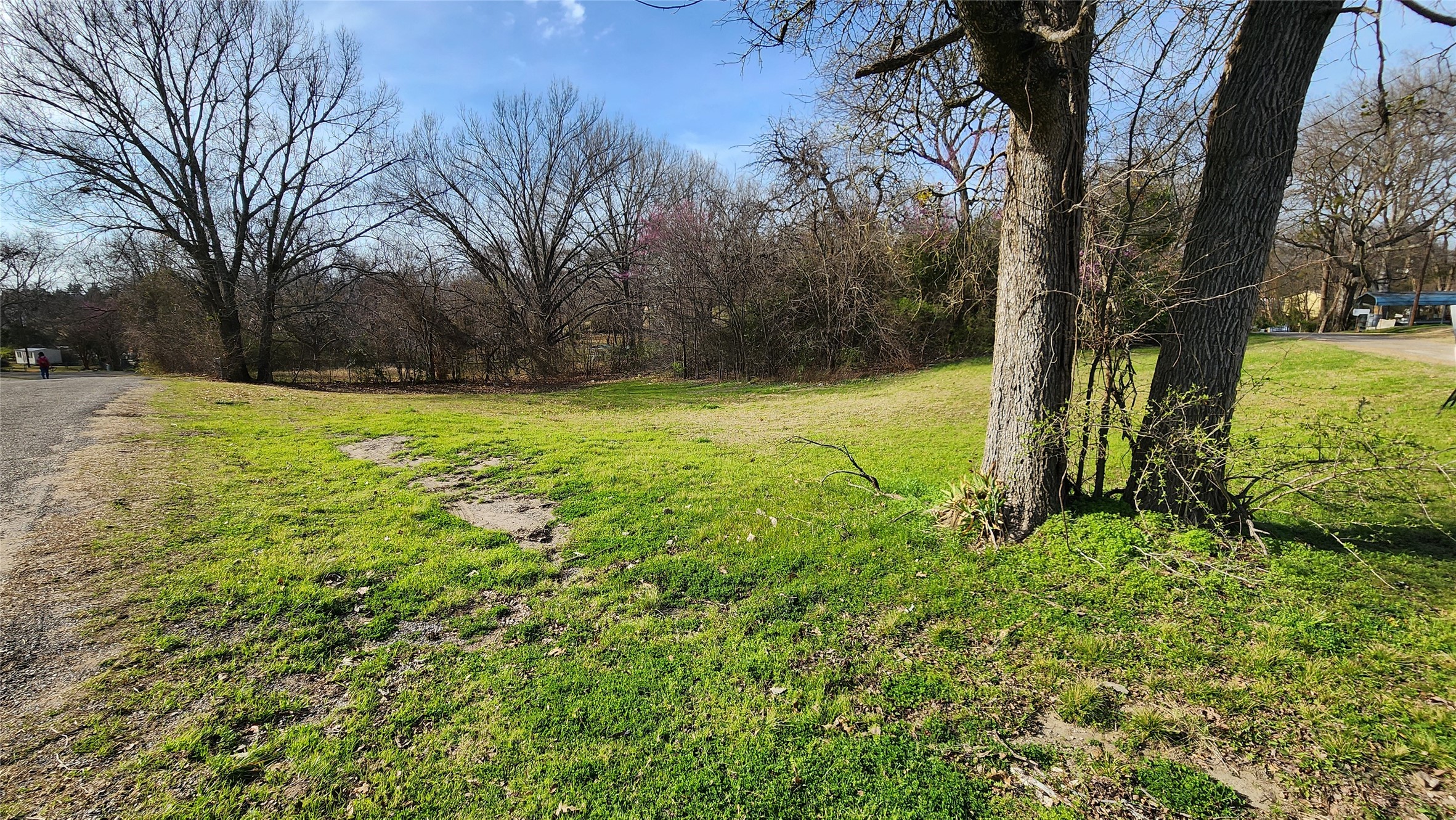 Lot 167 County Road 1633, Lone Oak, TX, 75453