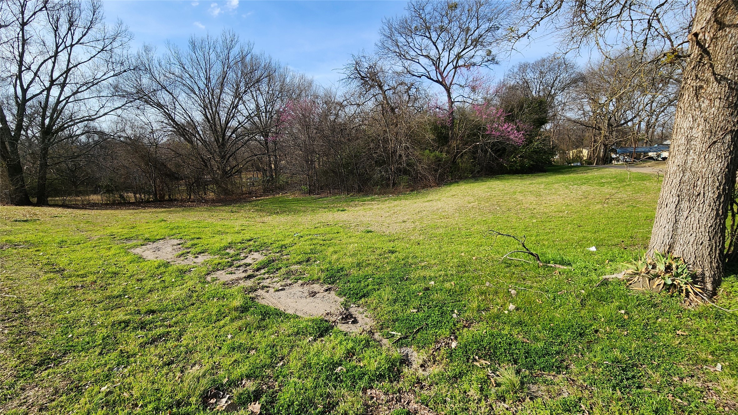 Lot 167 County Road 1633, Lone Oak, TX, 75453