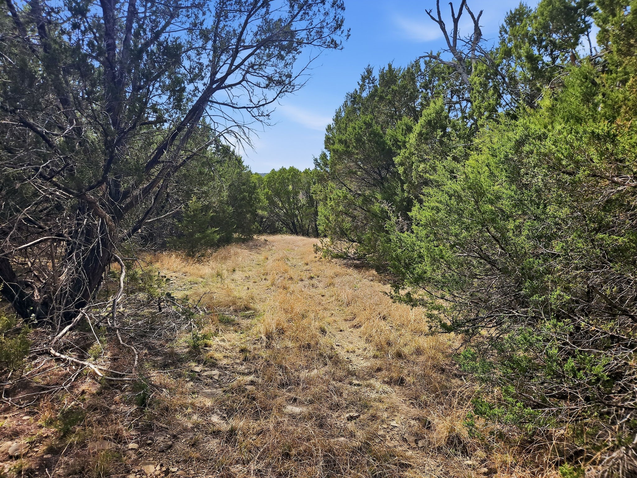 880 County Road 158, Evant, TX, 76525