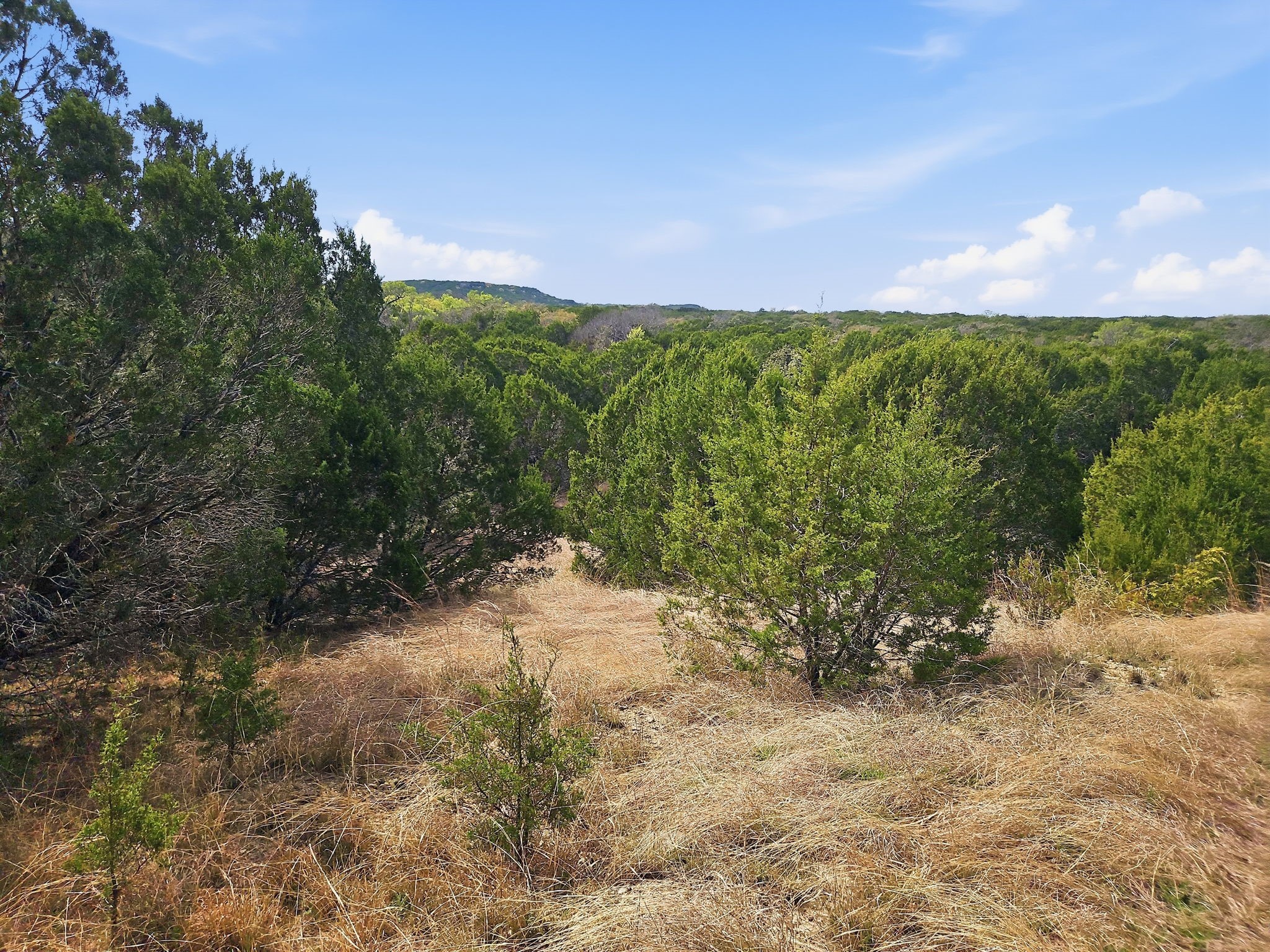 880 County Road 158, Evant, TX, 76525