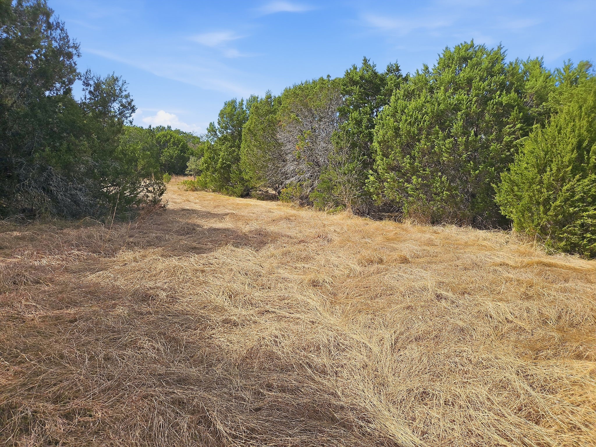 880 County Road 158, Evant, TX, 76525