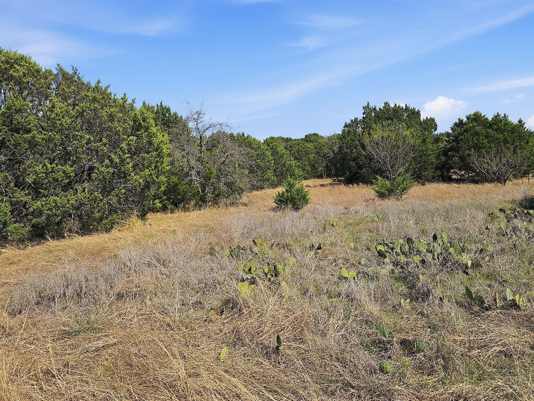 880 County Road 158, Evant, TX, 76525