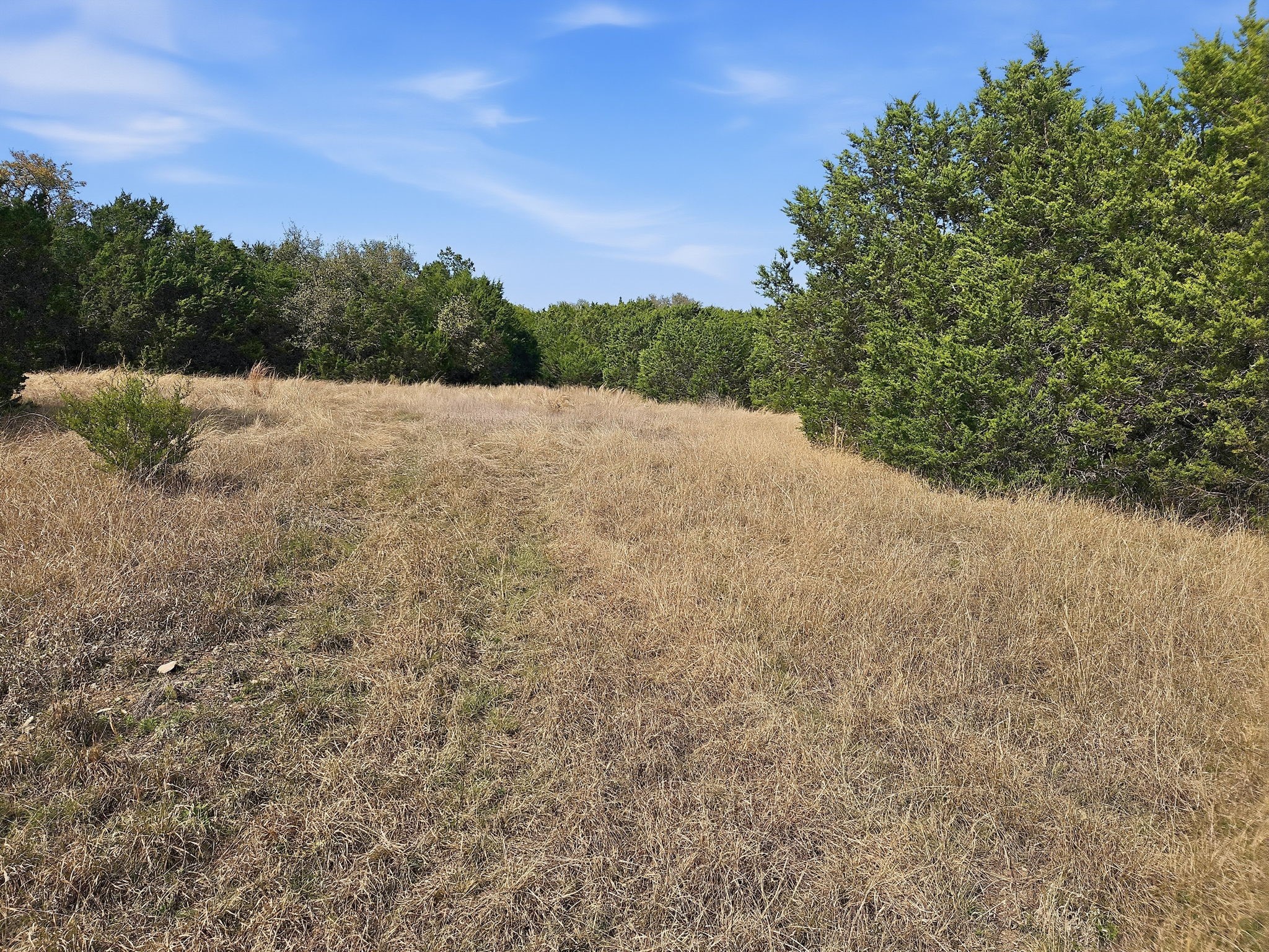 880 County Road 158, Evant, TX, 76525