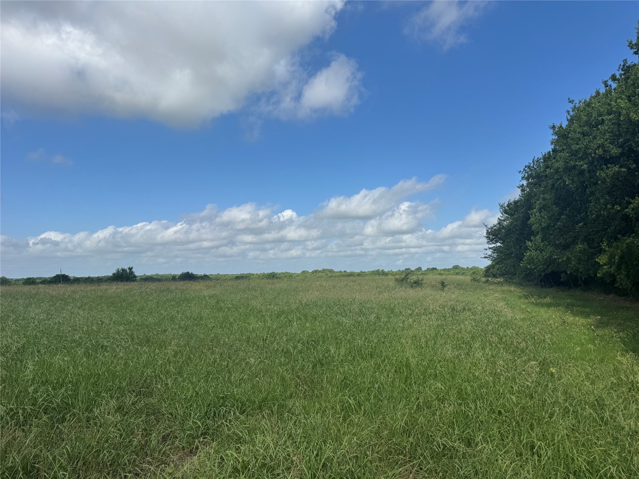 001 Fm 2990, Ladonia, TX, 75449