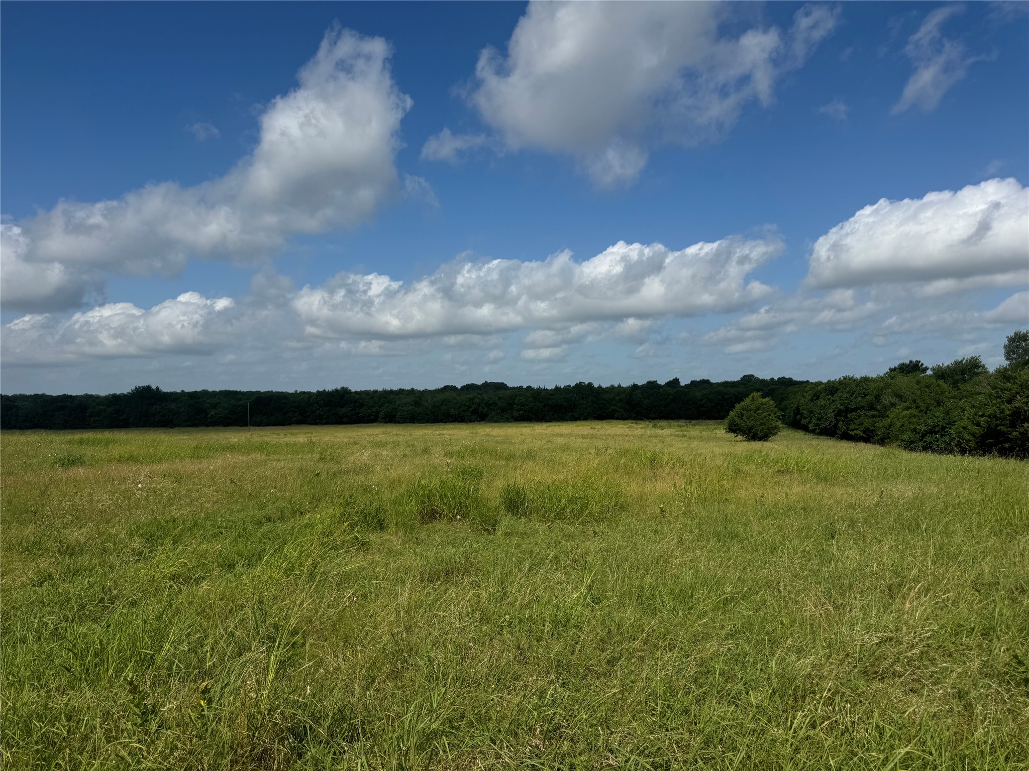 001 Fm 2990, Ladonia, TX, 75449
