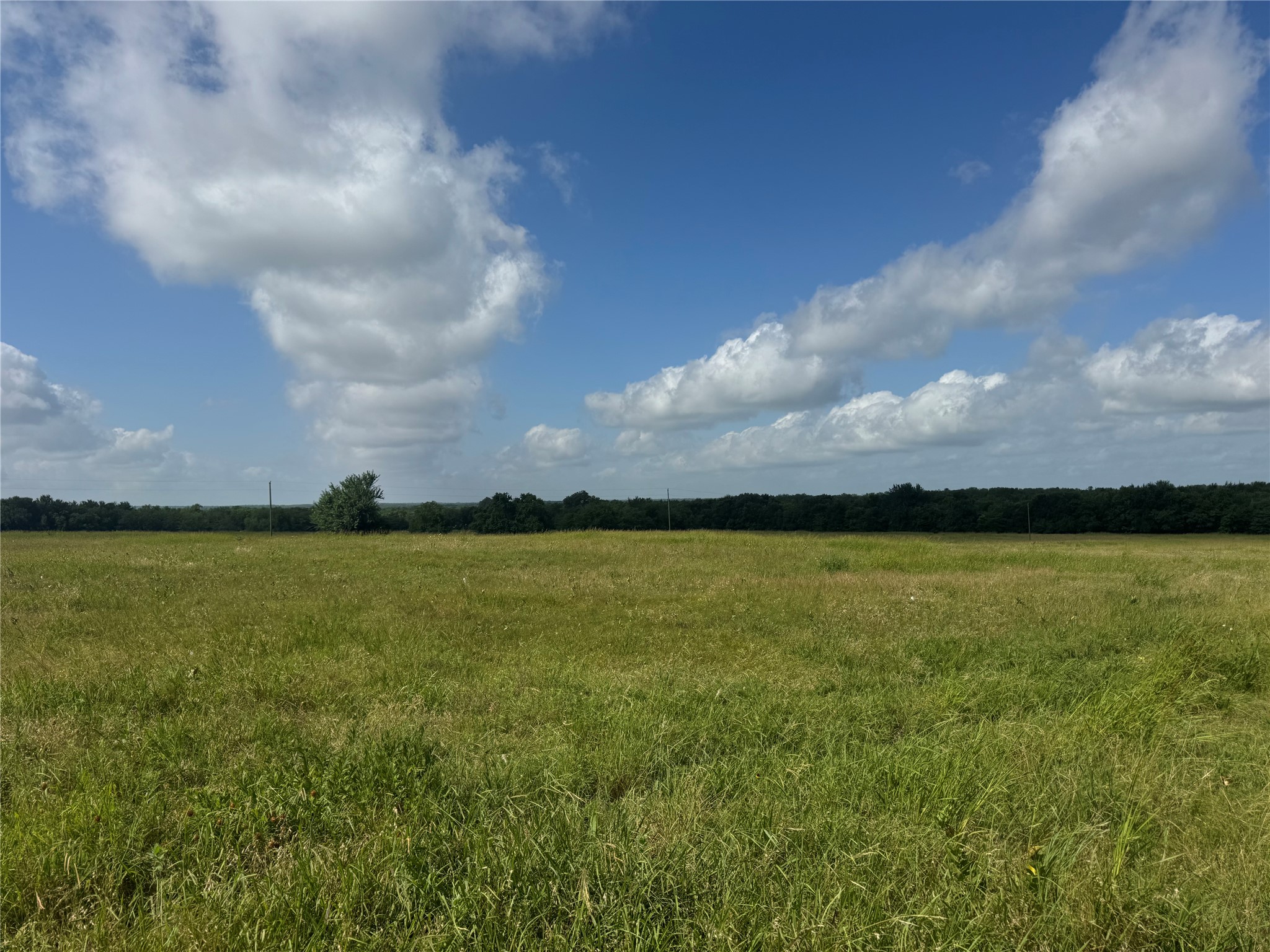 001 Fm 2990, Ladonia, TX, 75449