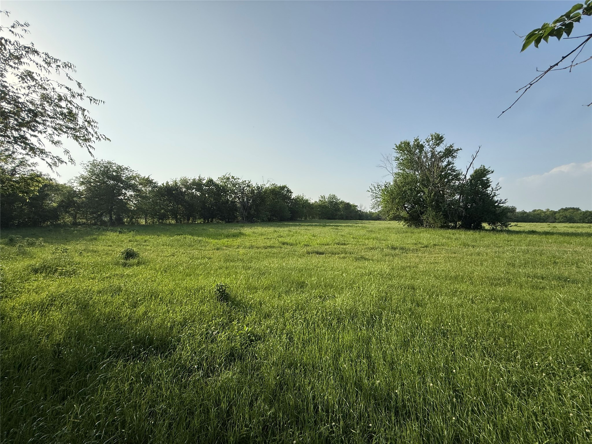 0000 TBD N County Road 3528, Saltillo, TX, 75478