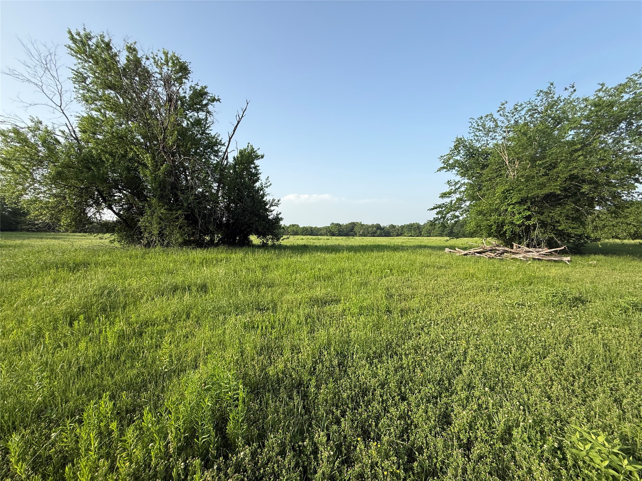 0000 TBD N County Road 3528, Saltillo, TX, 75478