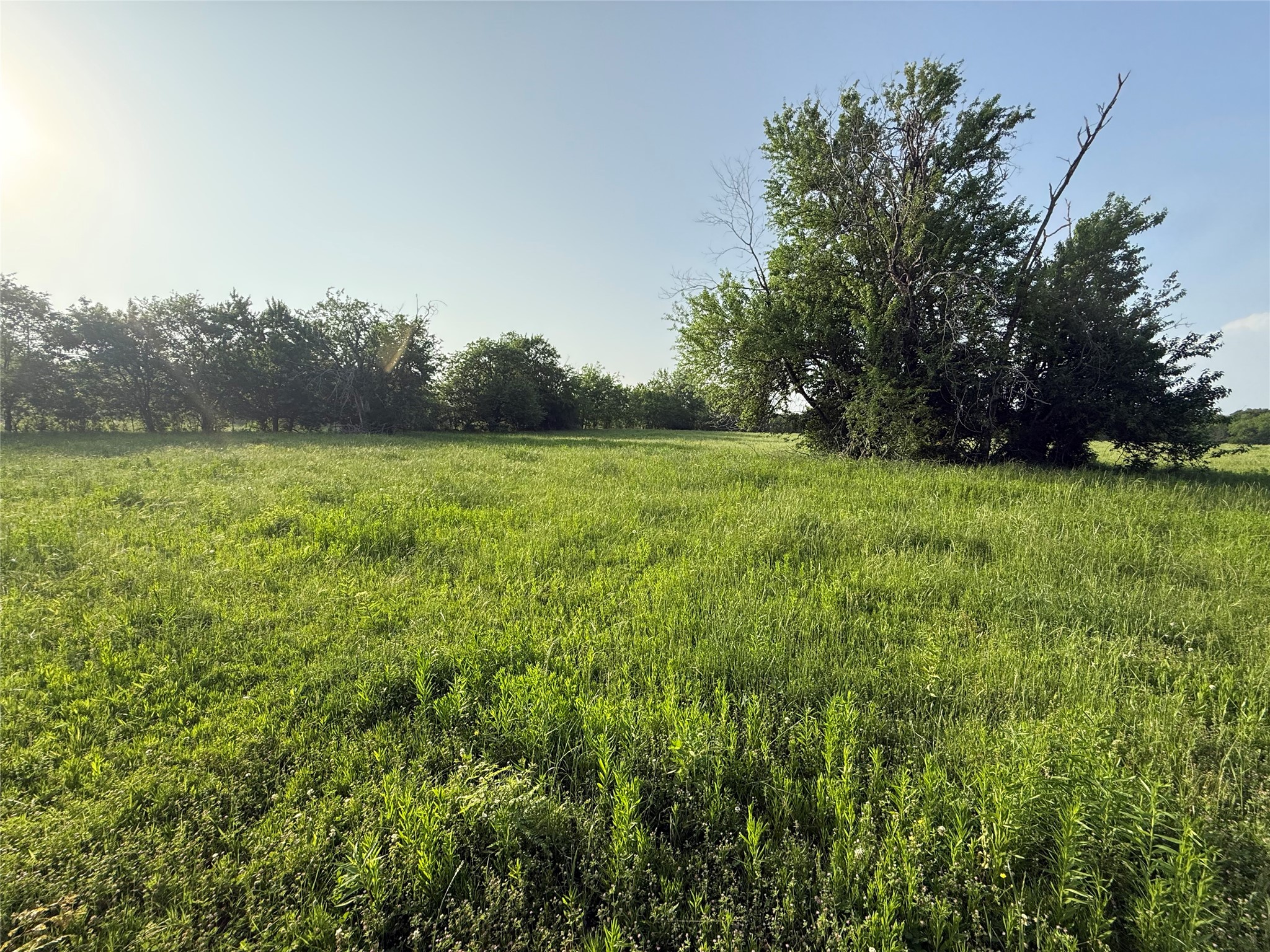 0000 TBD N County Road 3528, Saltillo, TX, 75478