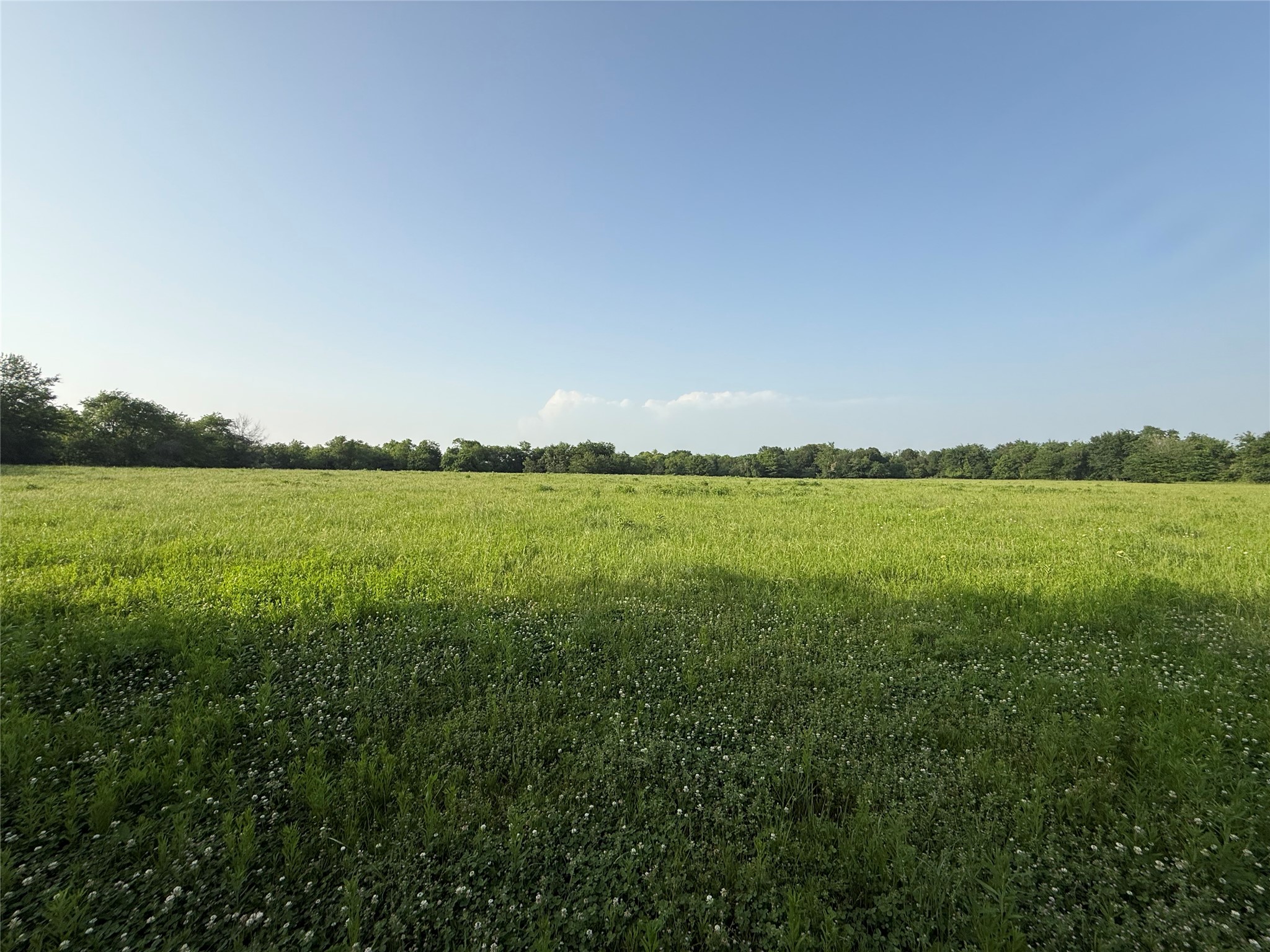 0000 TBD N County Road 3528, Saltillo, TX, 75478