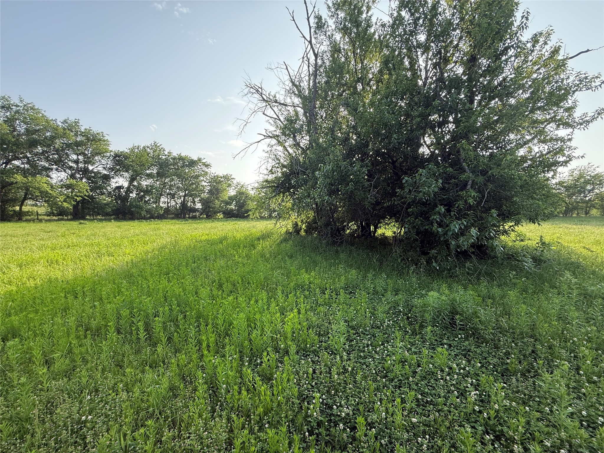 0000 TBD N County Road 3528, Saltillo, TX, 75478
