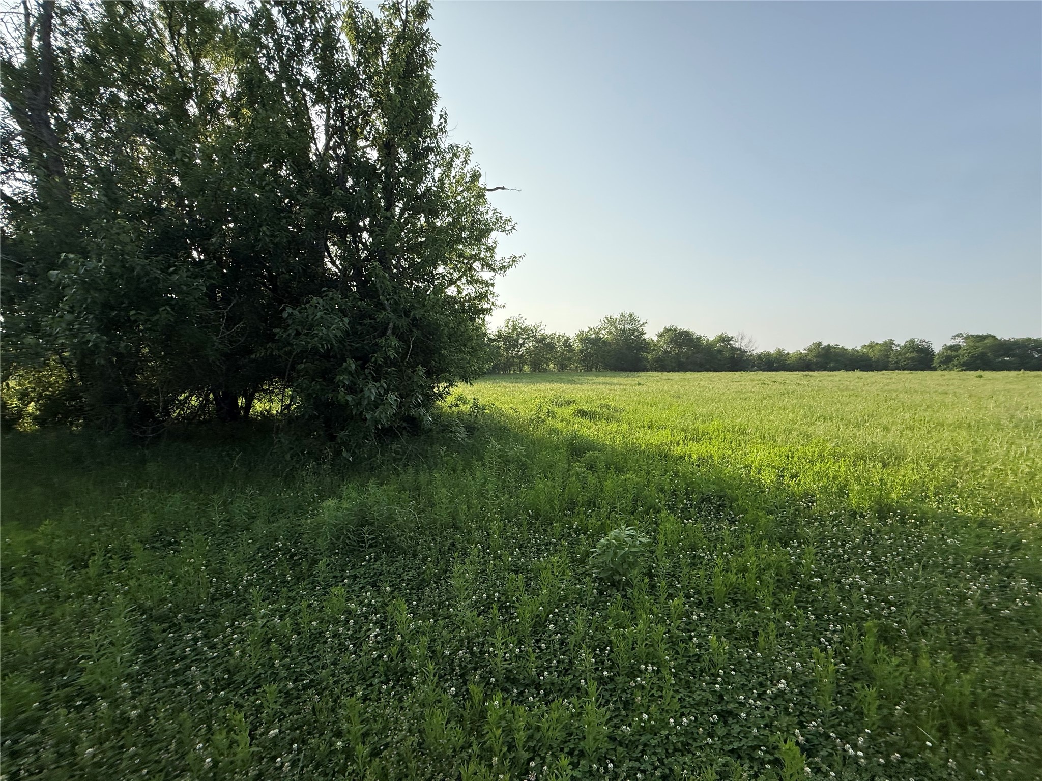 0000 TBD N County Road 3528, Saltillo, TX, 75478