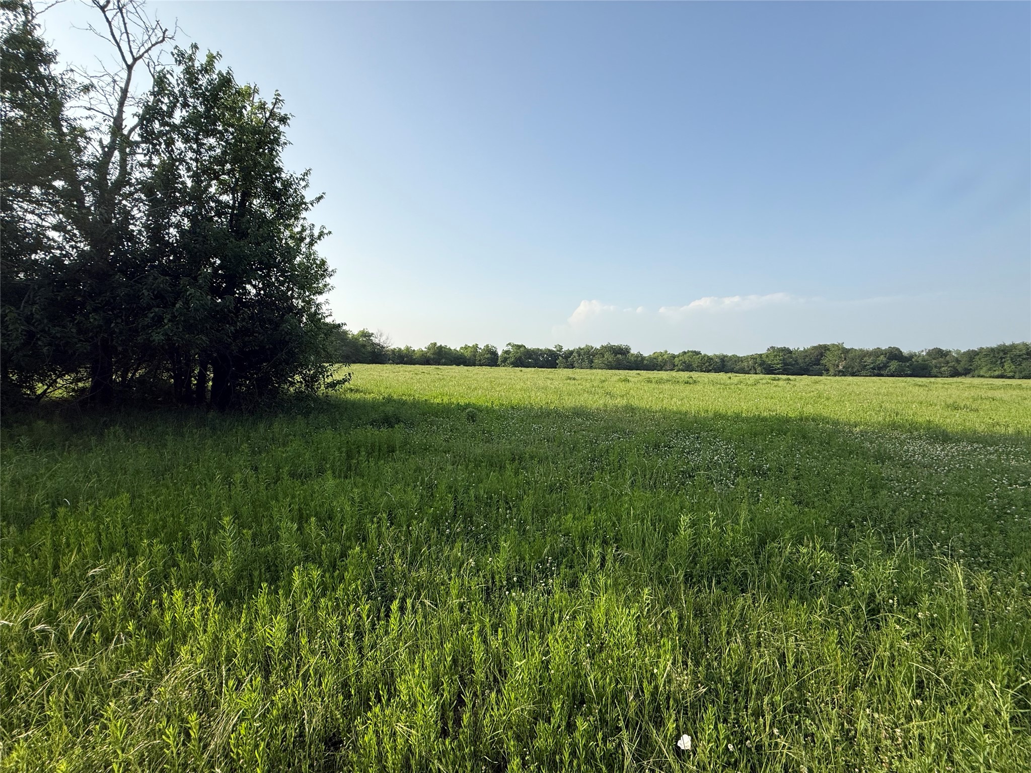0000 TBD N County Road 3528, Saltillo, TX, 75478