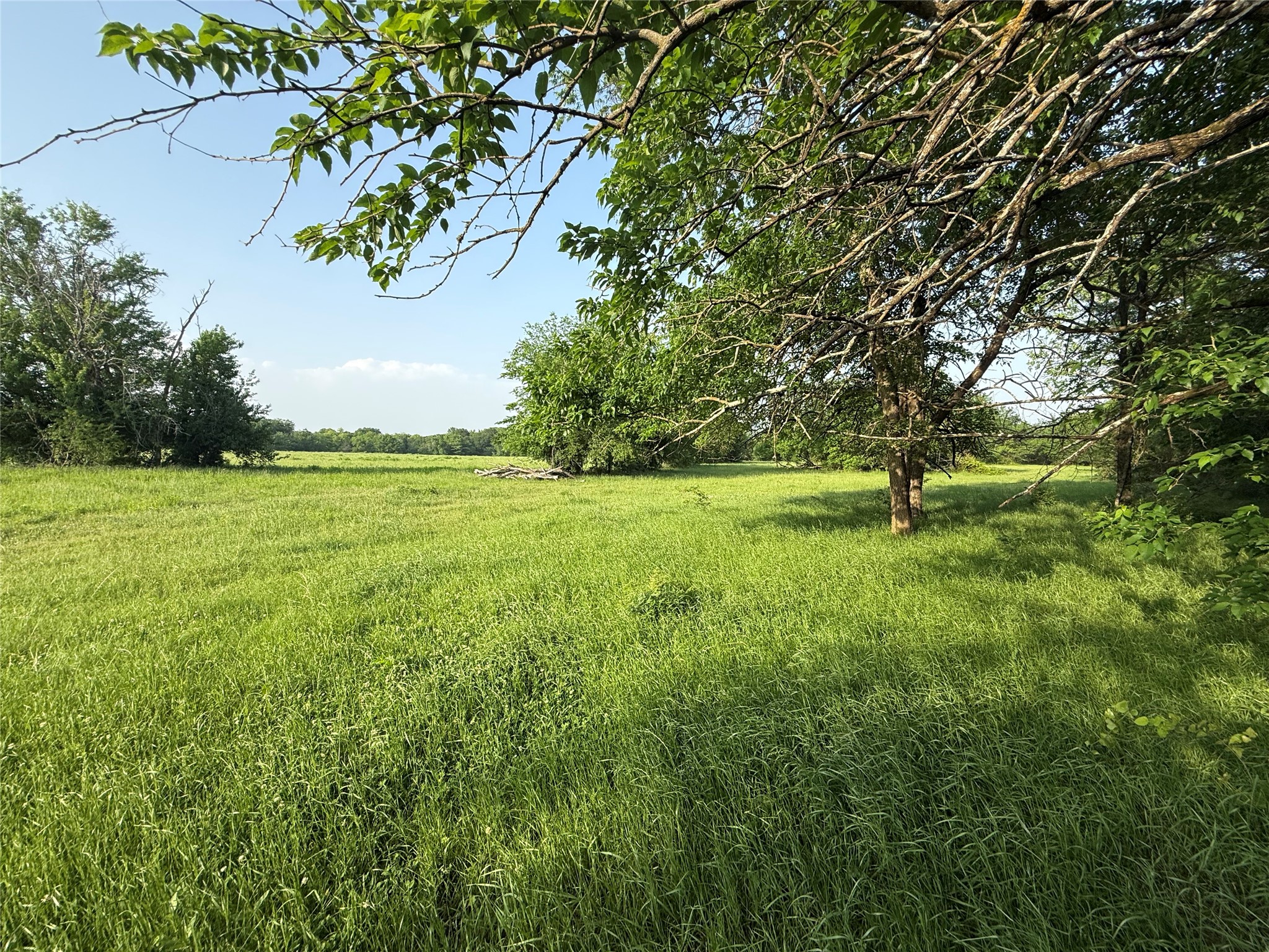 0000 TBD N County Road 3528, Saltillo, TX, 75478