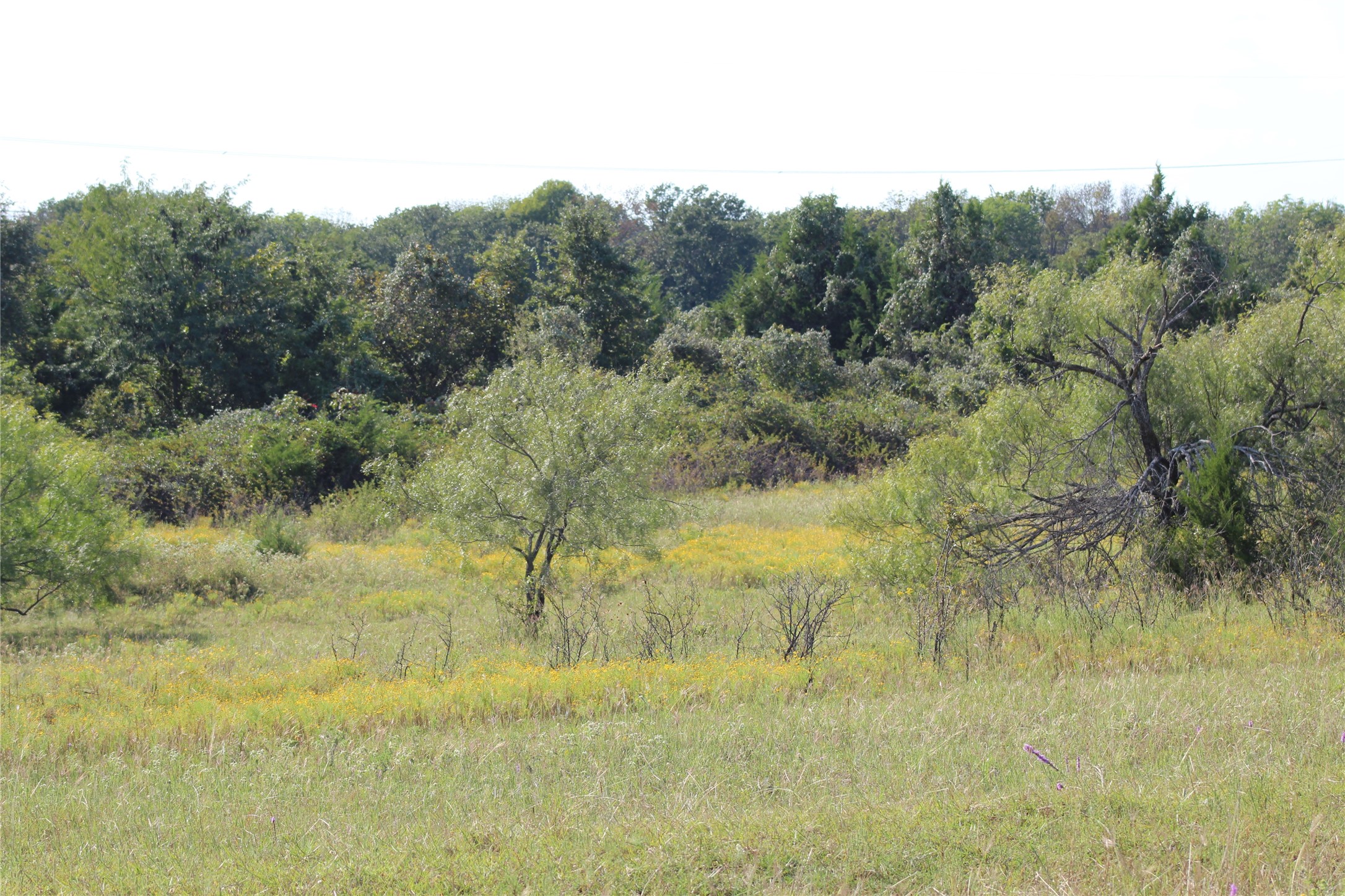 1179 CR 1470, Chico, TX, 76431