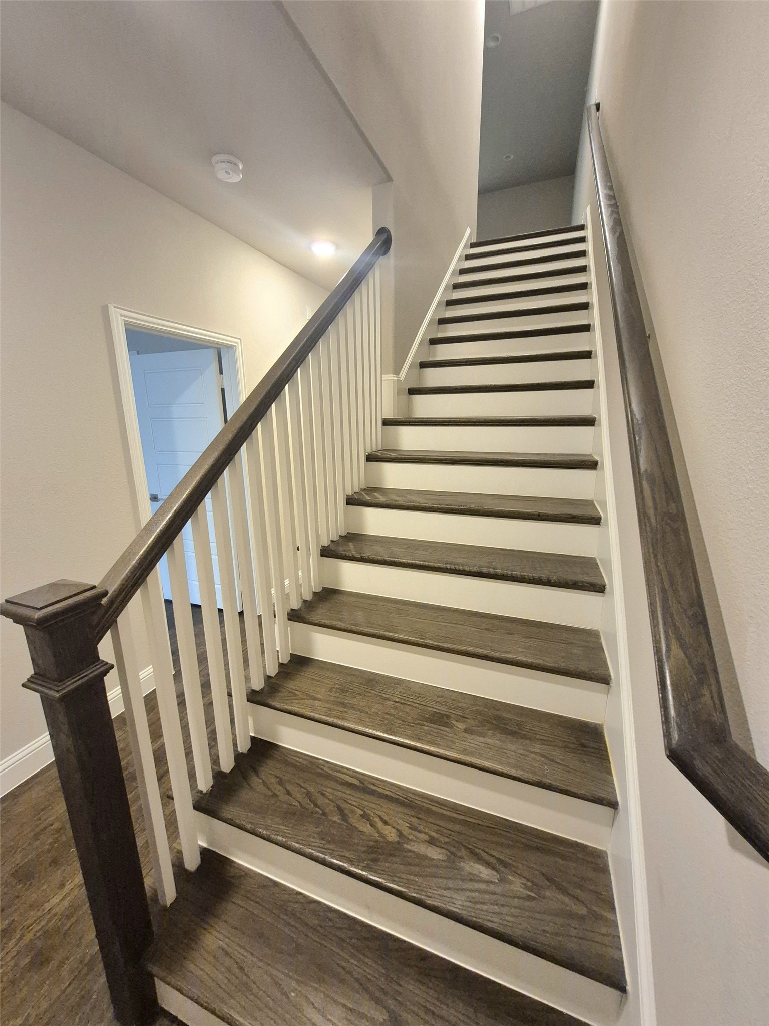 2904 Sheridan, Carrollton, TX, 75010