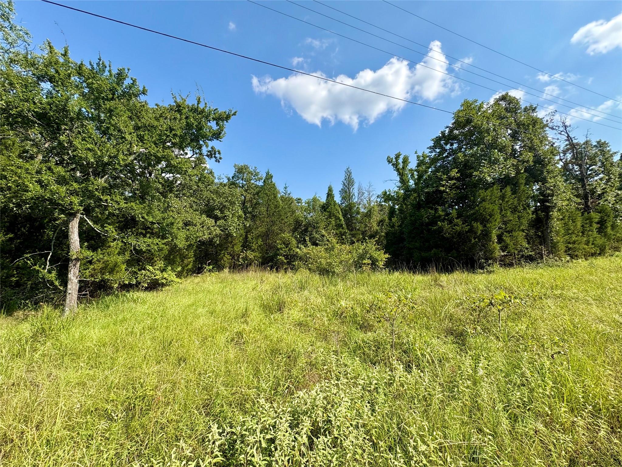 0000 Paladin Drive, Log Cabin, TX, 75148