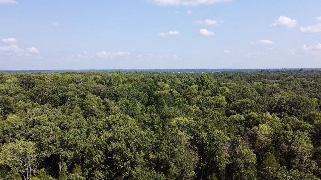 0000 Paladin Drive, Log Cabin, TX, 75148
