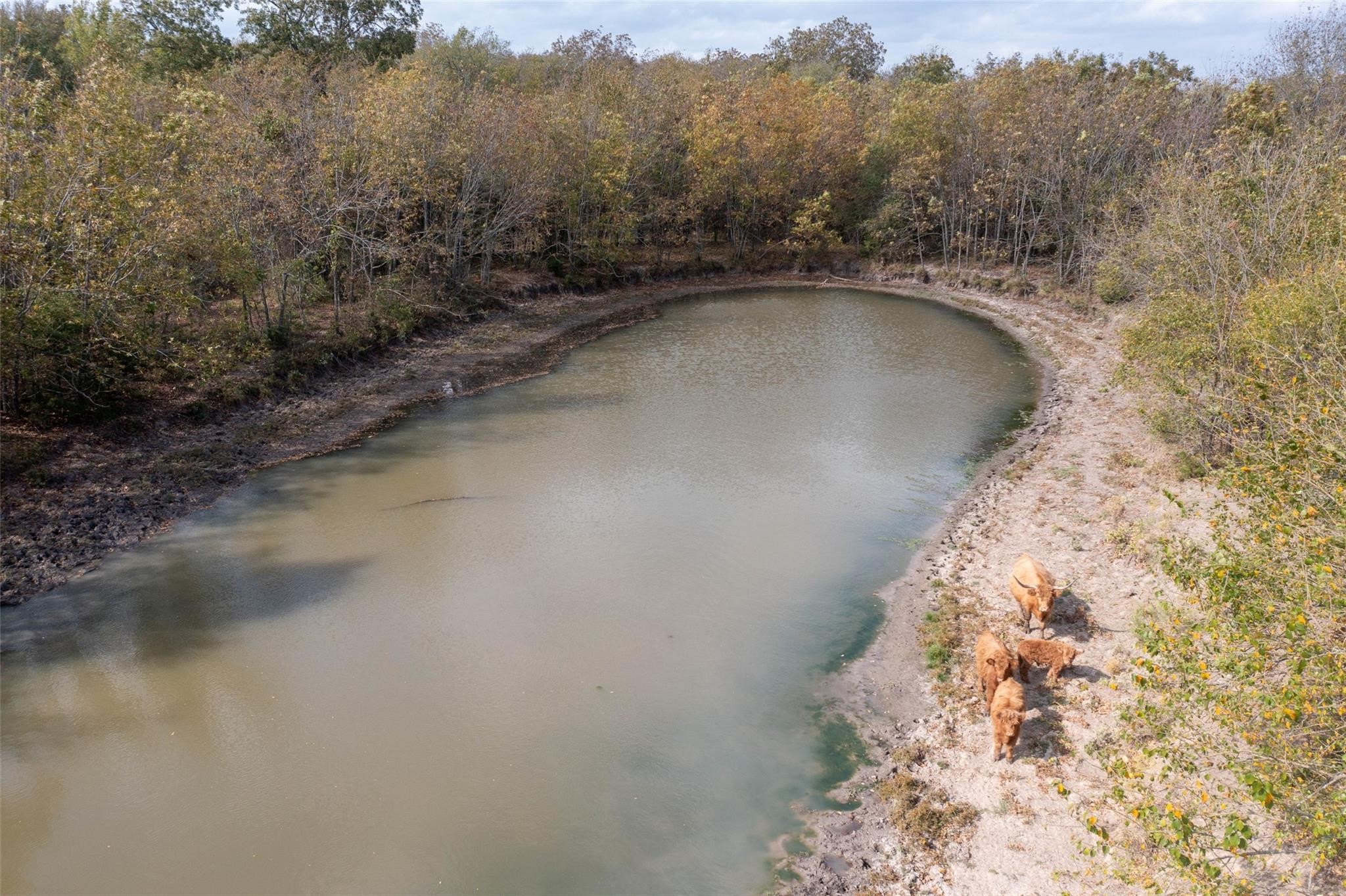 Property photo 01 of 4081 FM 2736 UNIT A, Campbell, TX 75422 | MLS #21223140