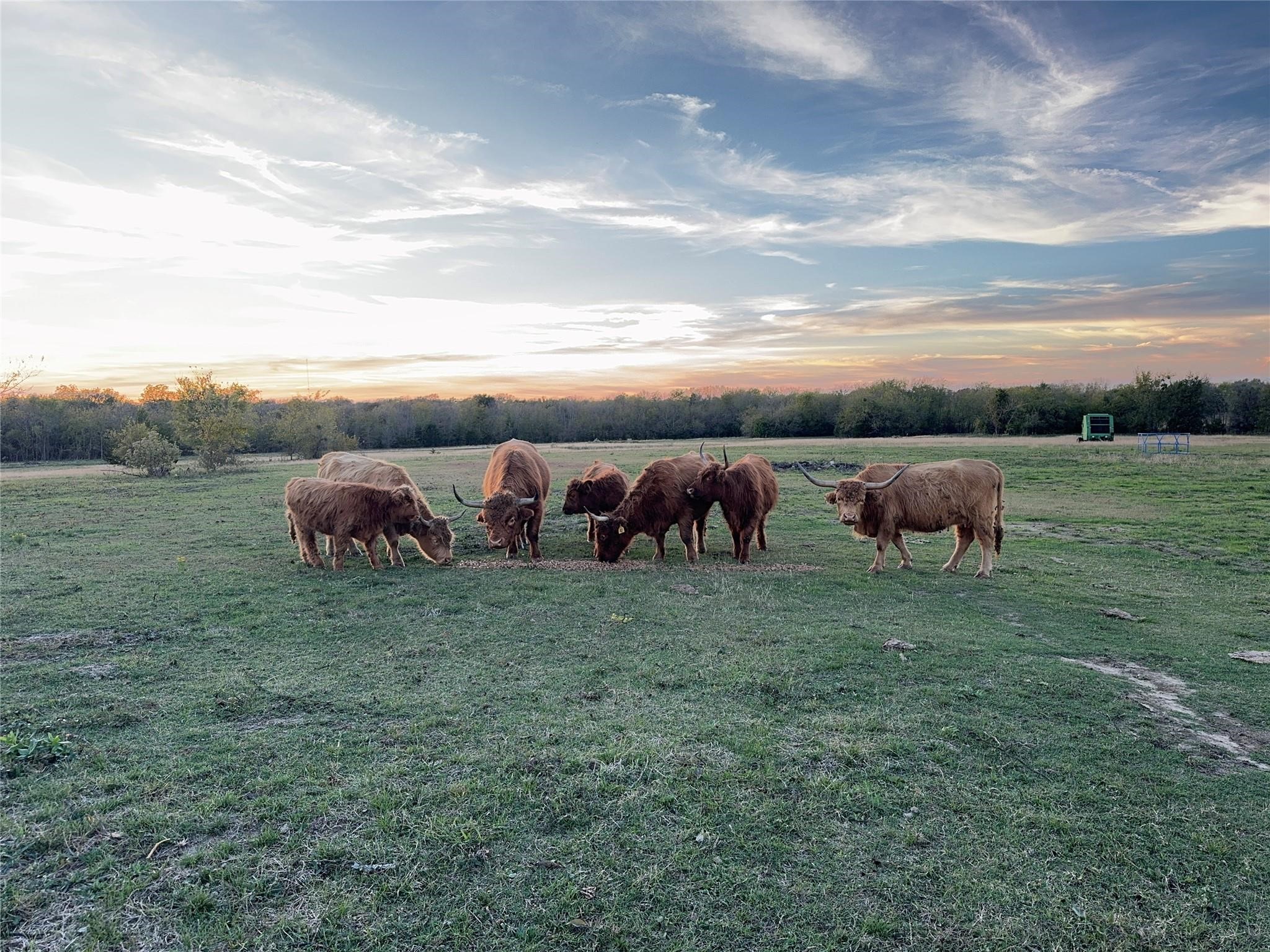 4081 FM 2736 UNIT&nbsp;D, Campbell, TX, 75422