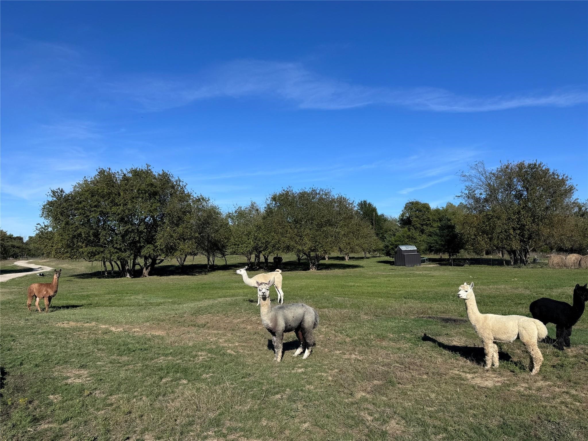 4081 FM 2736 UNIT&nbsp;D, Campbell, TX, 75422