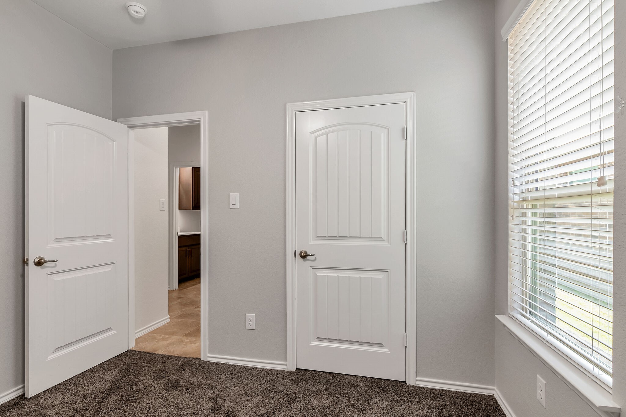 10113 Saltbrush Street, Fort Worth, TX, 76177