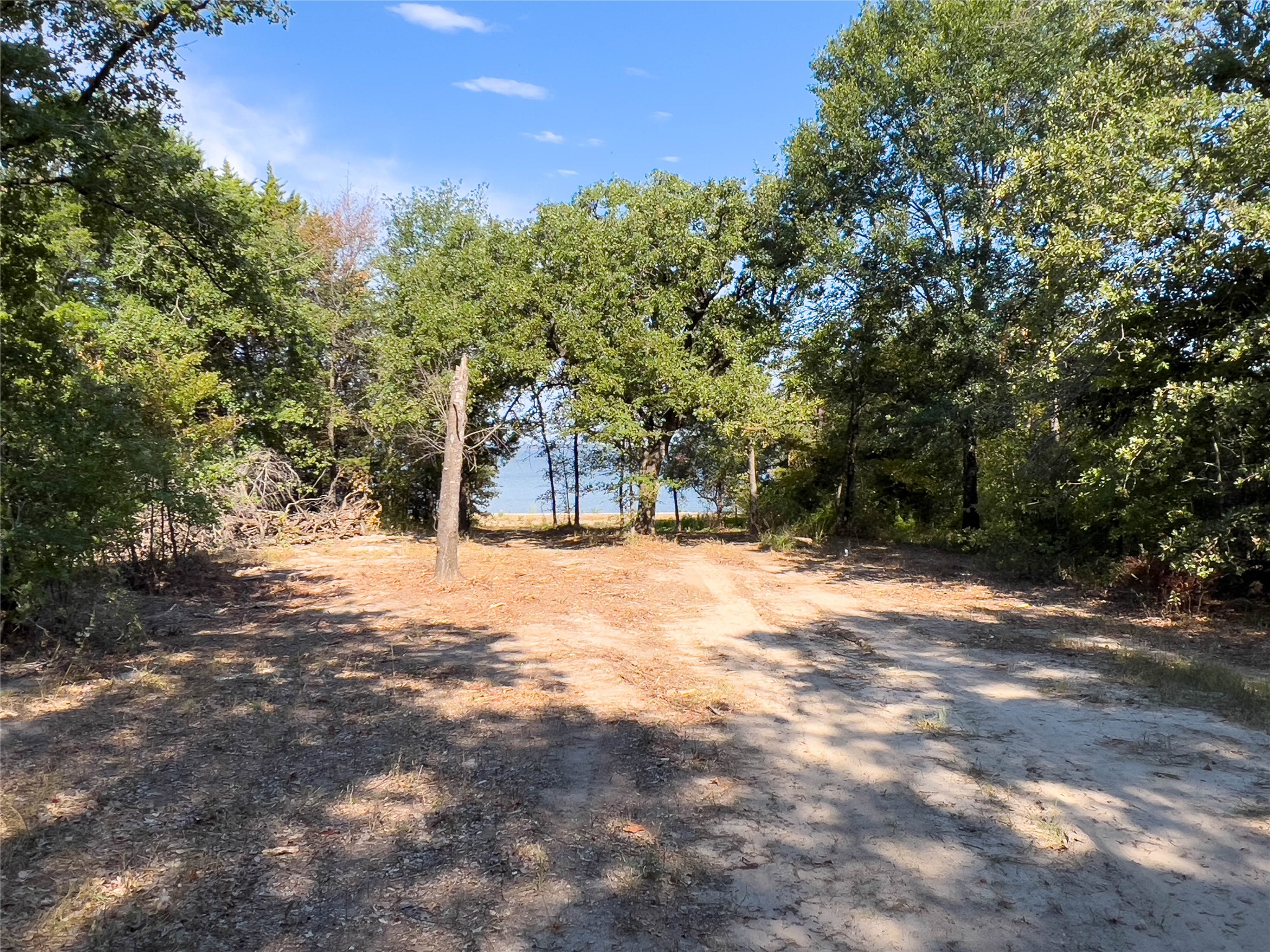 445 Sun Valley, Mabank, TX, 75147