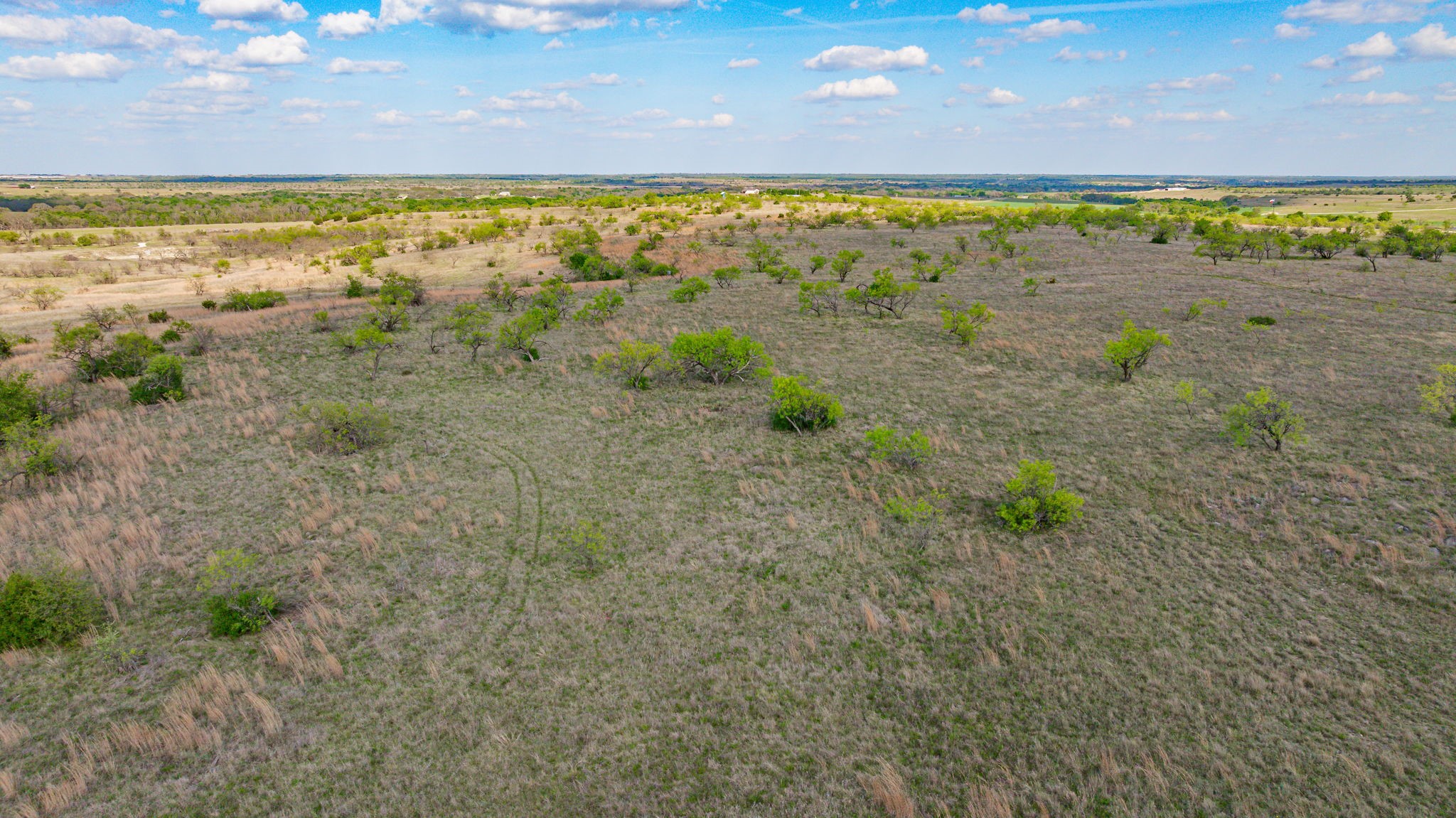 195 Highway 2823, Dublin, TX, 76446