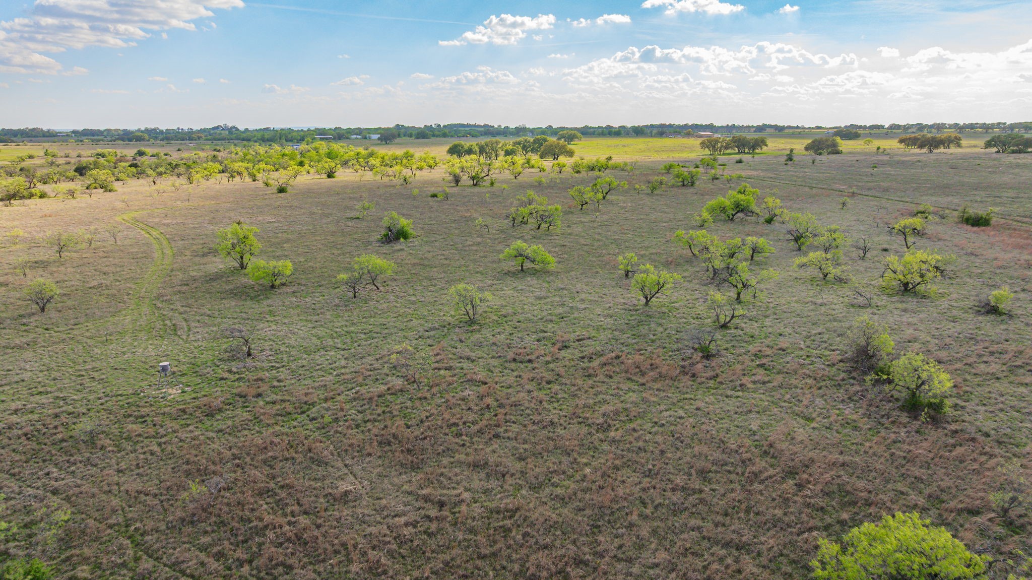 195 Highway 2823, Dublin, TX, 76446