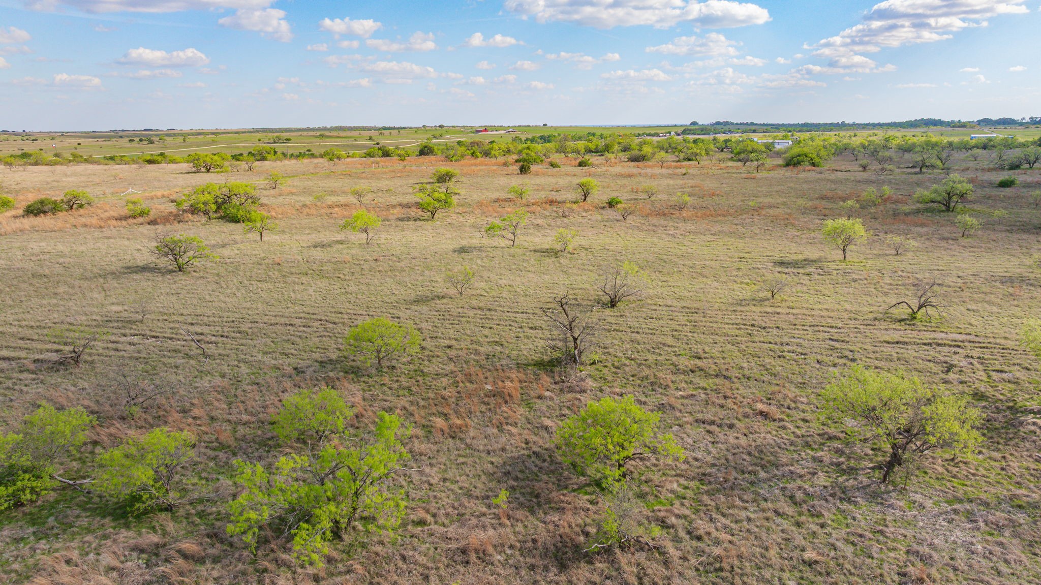 195 Highway 2823, Dublin, TX, 76446