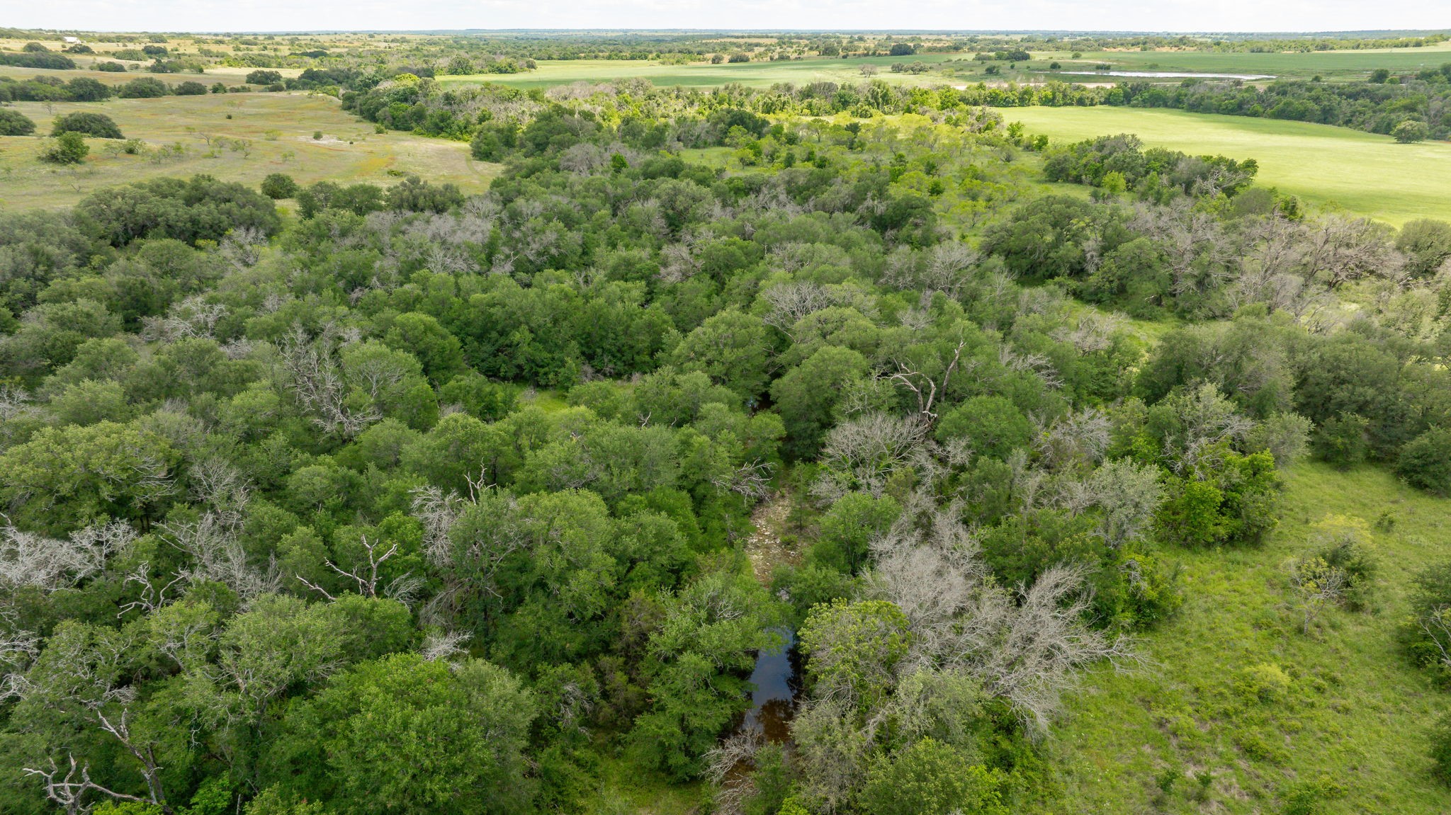 Lot 3 County Road 277, Dublin, TX, 76446