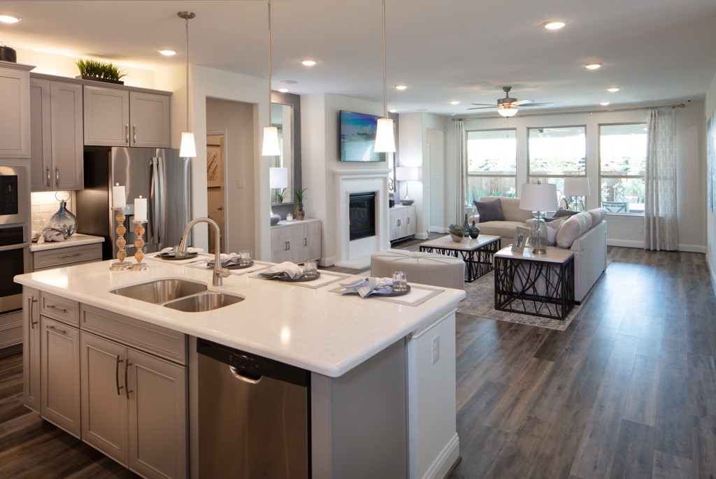 1724 Elderberry Lane, Celina, TX, 75009