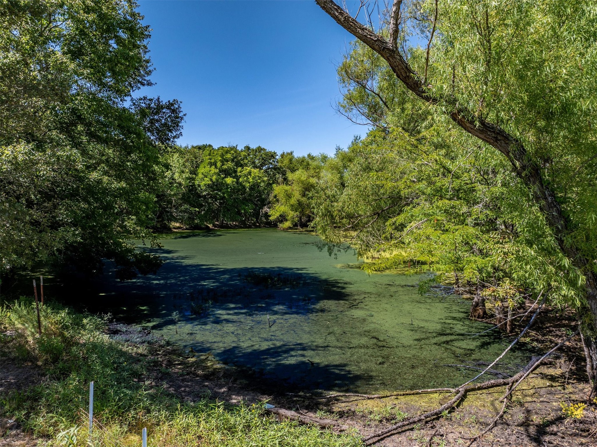 3139 Farm Road 3134, Cumby, TX, 75433