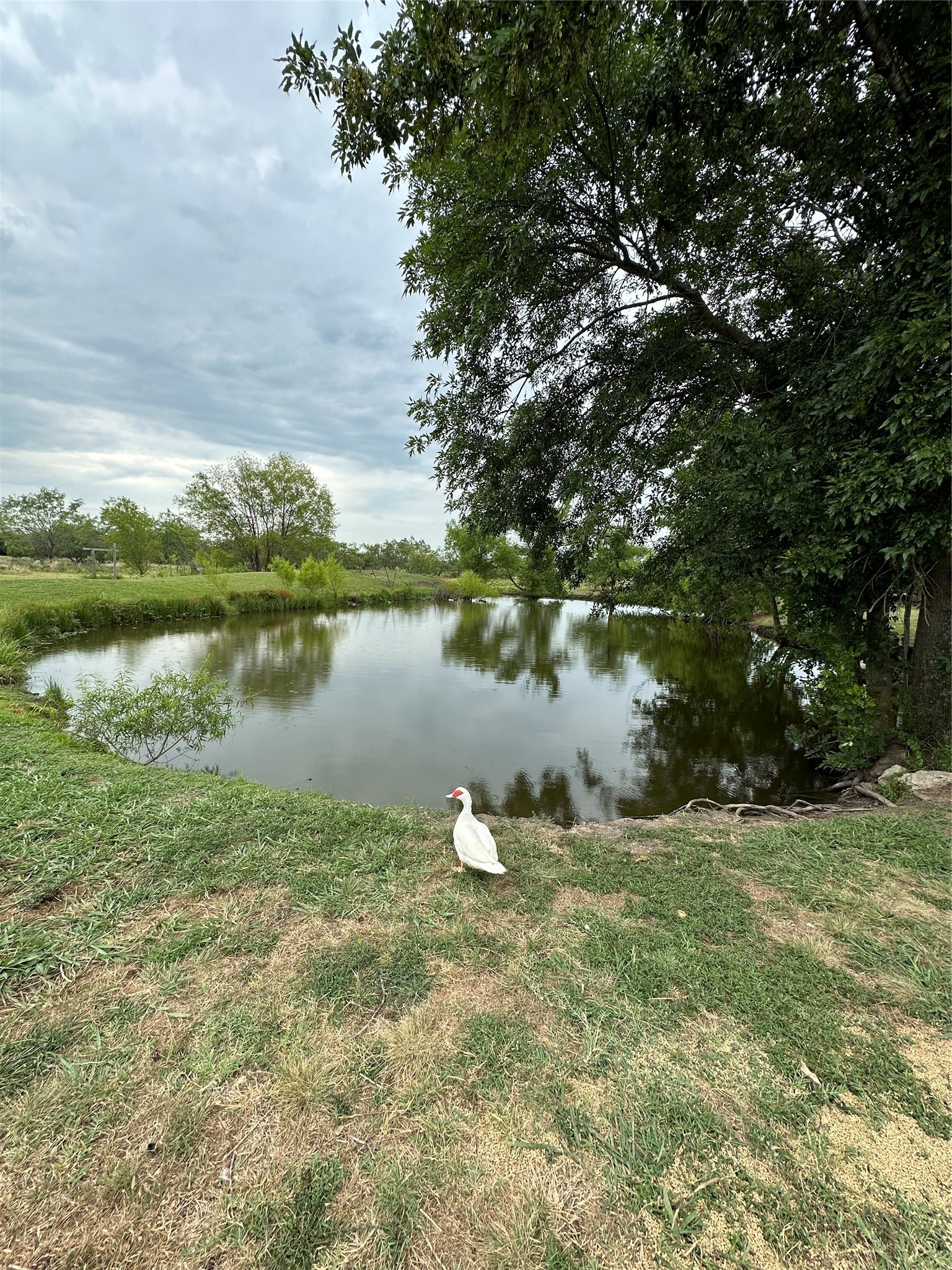 1074 County Road 142, Kaufman, TX, 75142