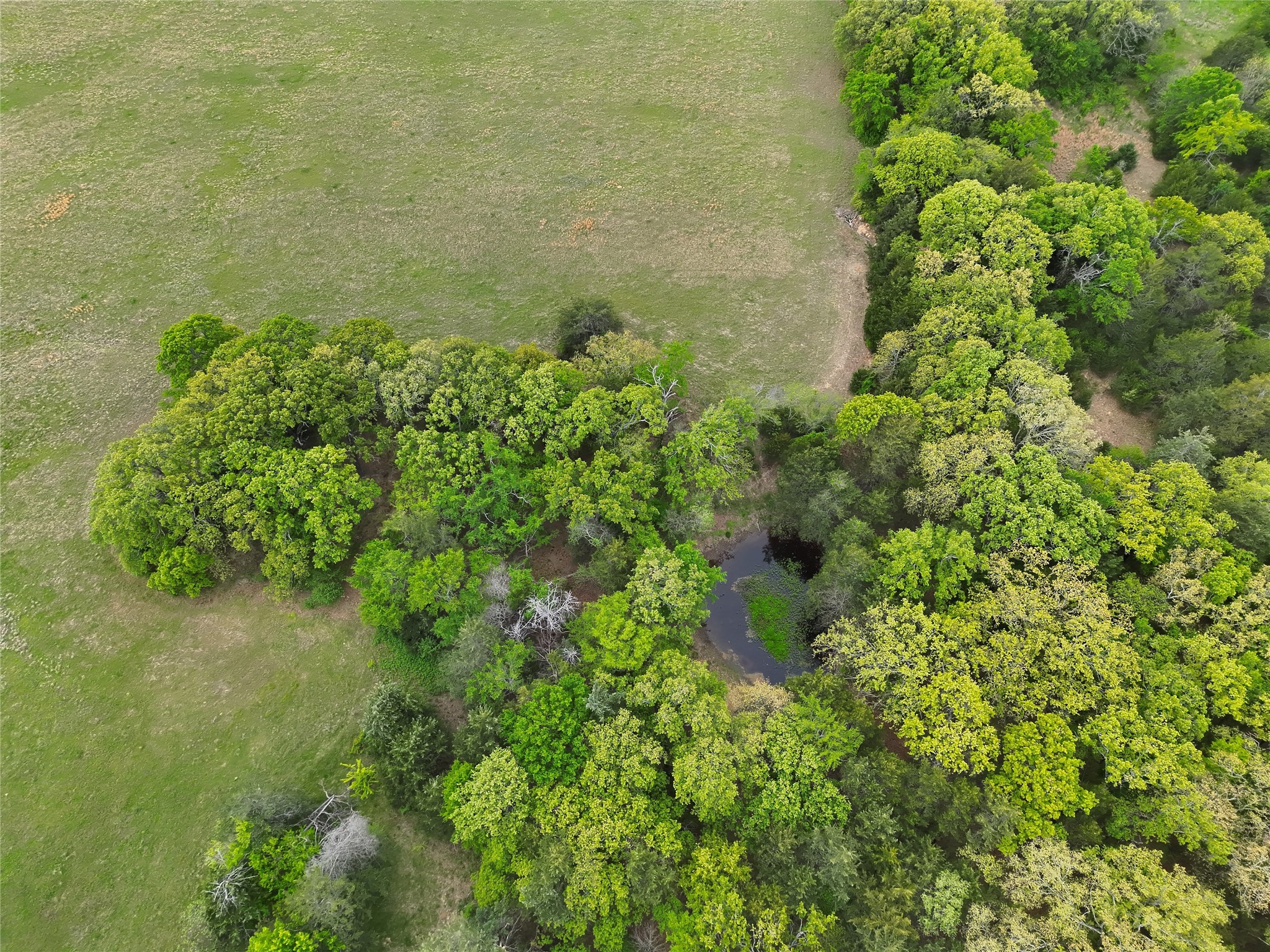 TBD CR 2605, Bonham, TX, 75418
