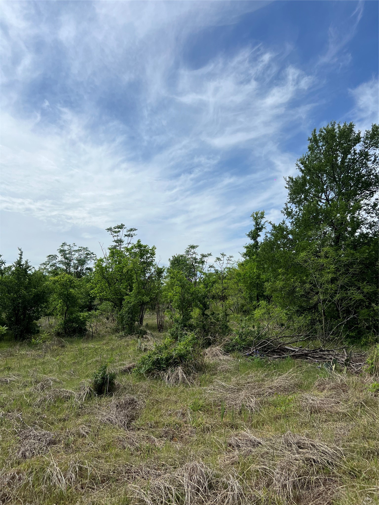 TBD Mcgregor Drive, Mcgregor, TX, 76657