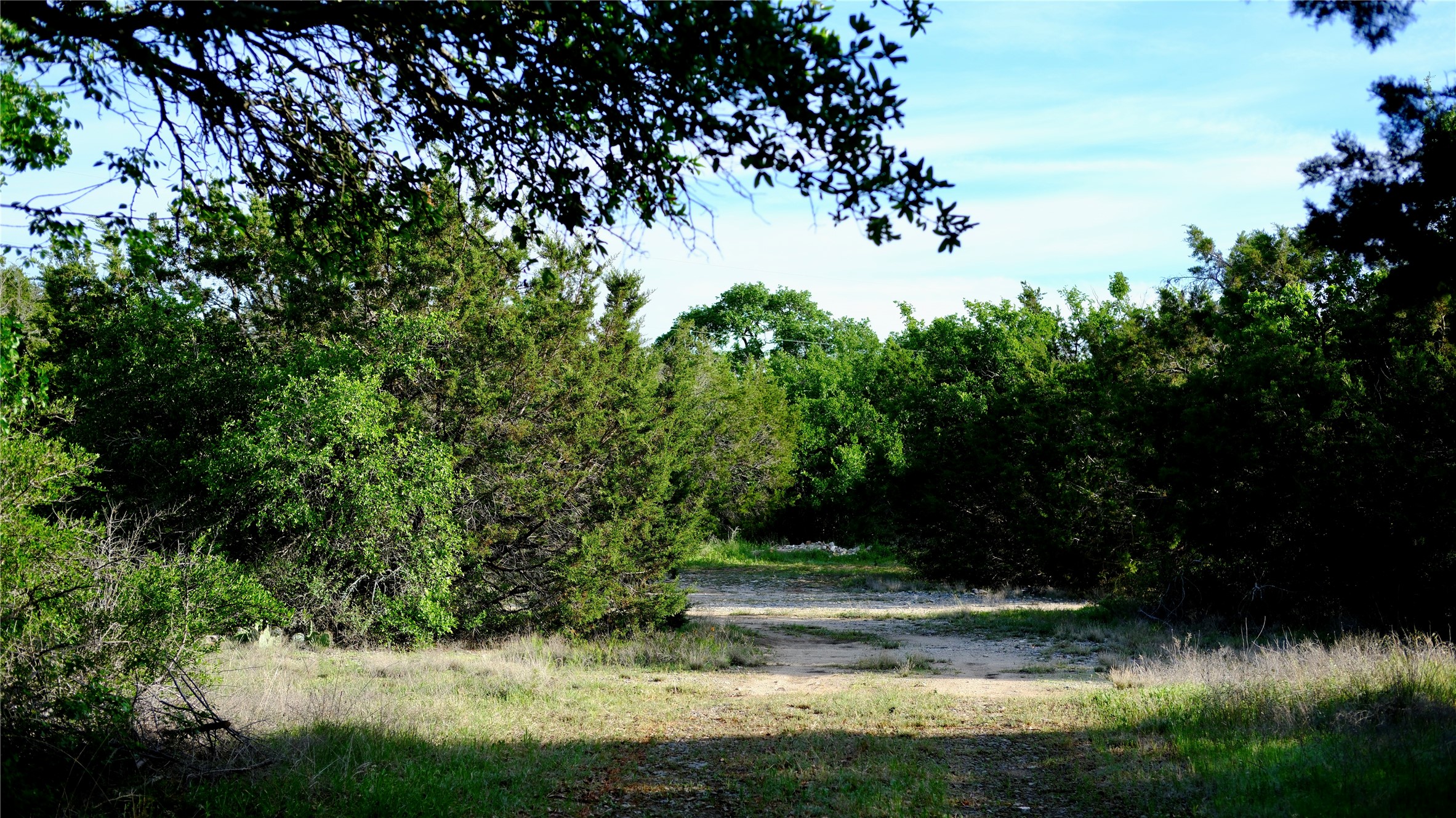 Property photo 03 of 4611 Ibis Court, Granbury, TX 76049 | MLS #21227173