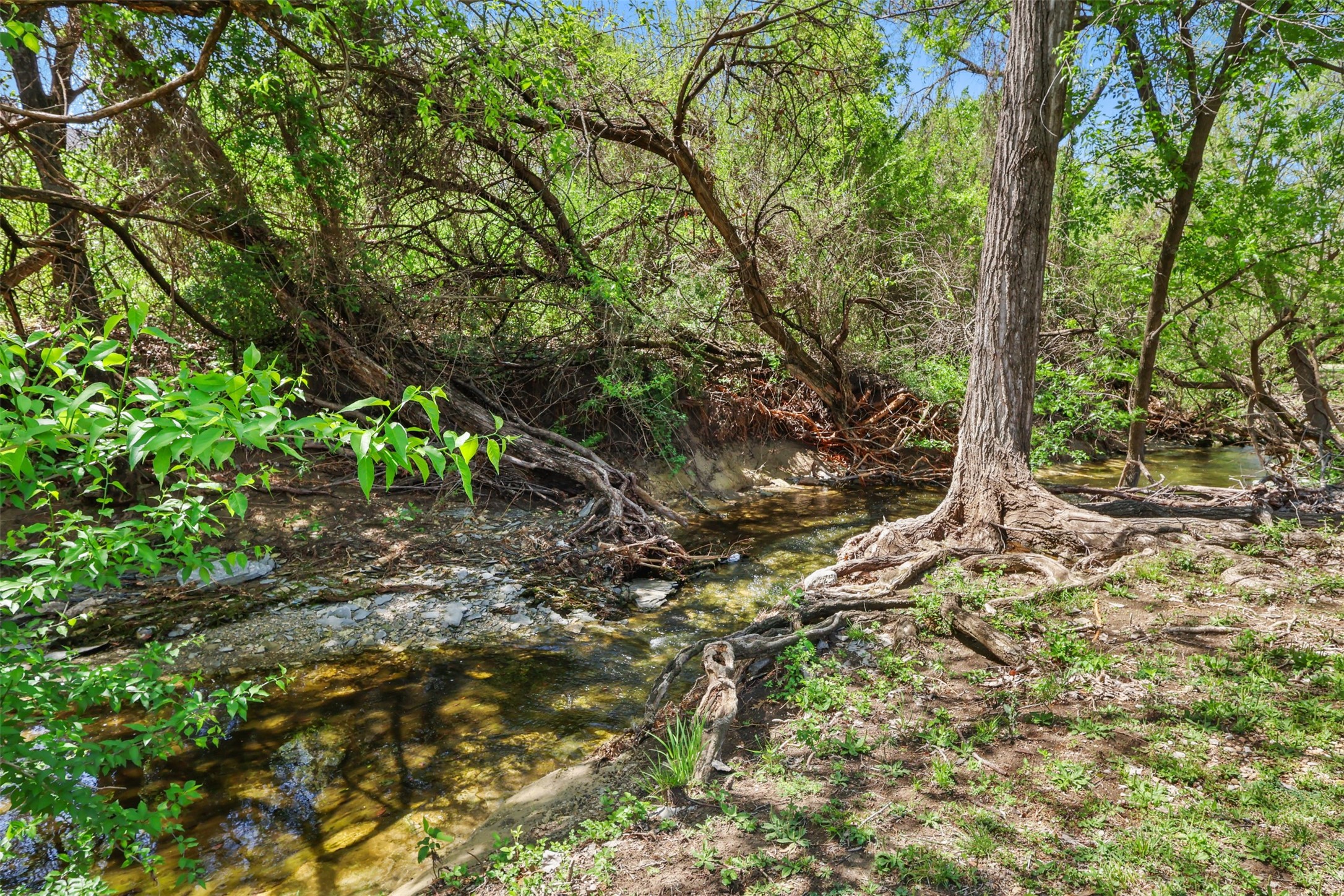 5312 Seascape Lane, Plano, TX, 75093