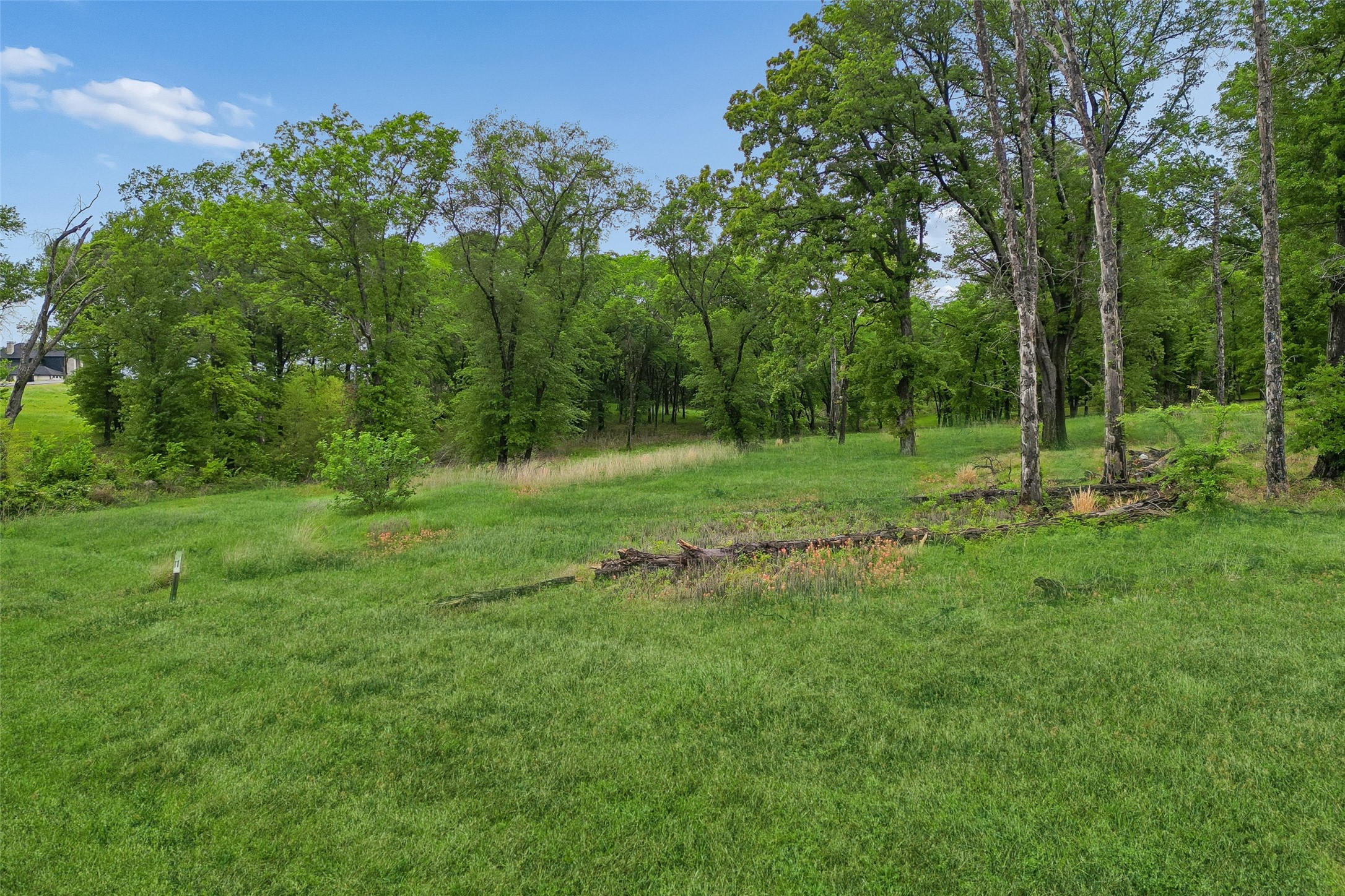 1593 Shoreline Drive, Mabank, TX, 75143