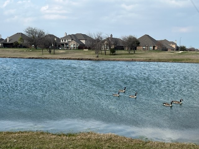 14317 Spitfire Trail, Fort Worth, TX, 76262