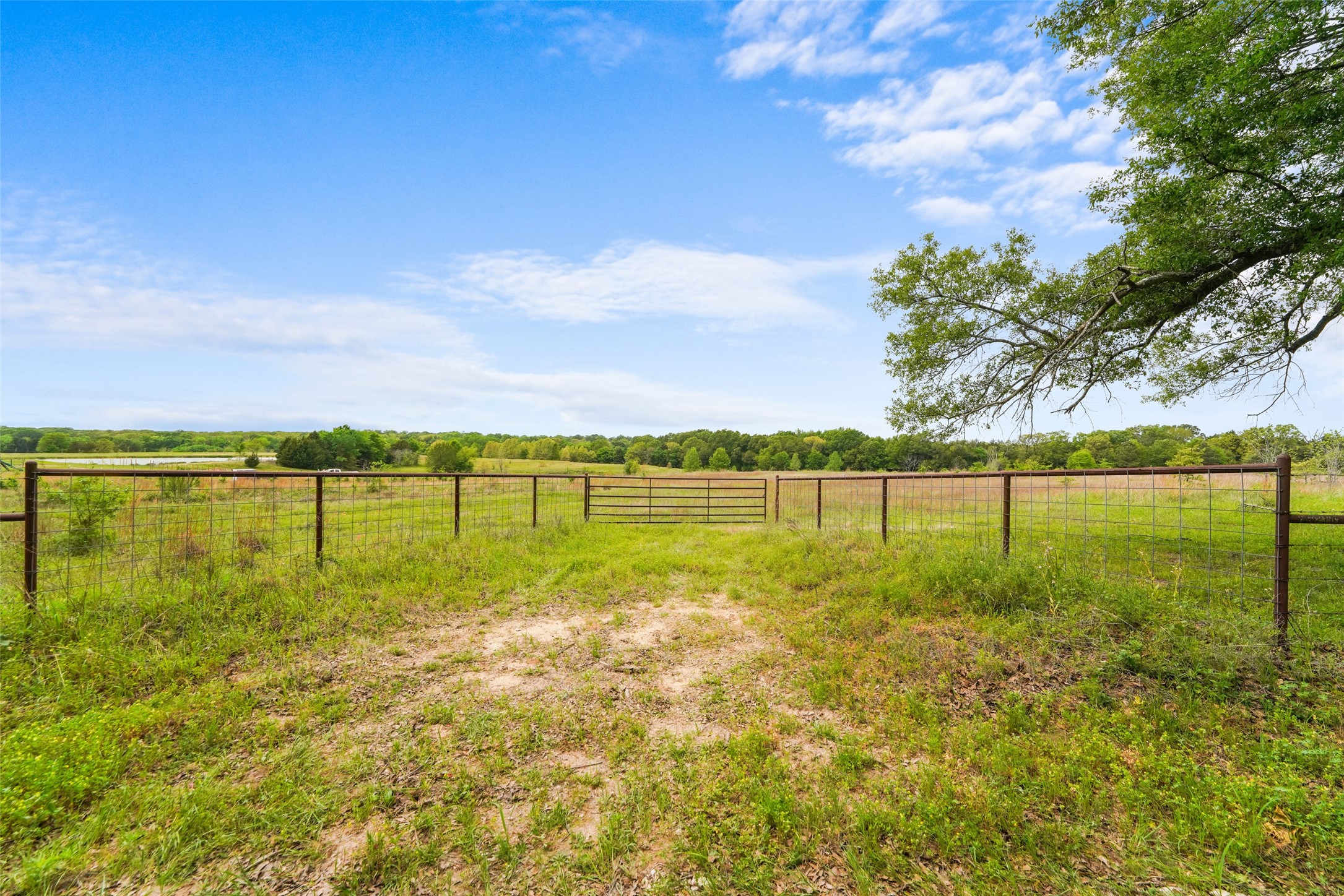TBD Co Rd 1107, Canton, TX, 75117