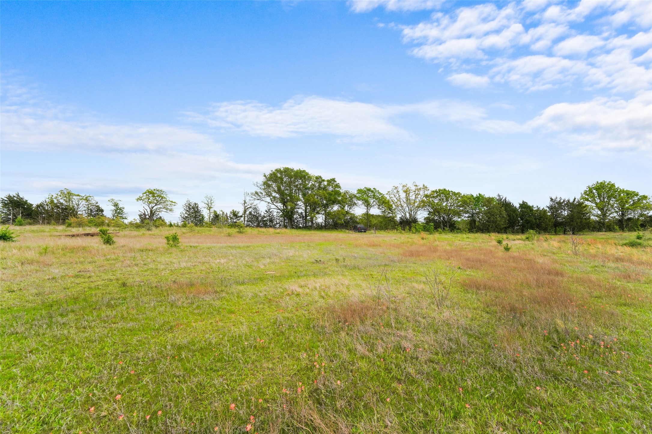 TBD Co Rd 1107, Canton, TX, 75117