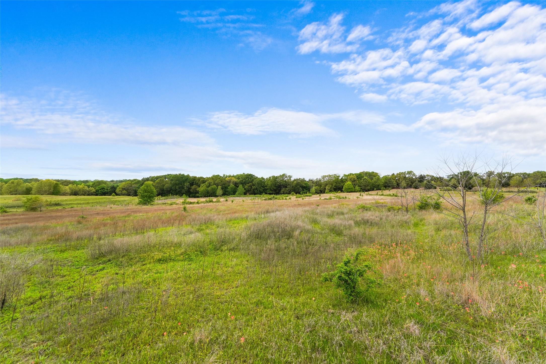 TBD Co Rd 1107, Canton, TX, 75117