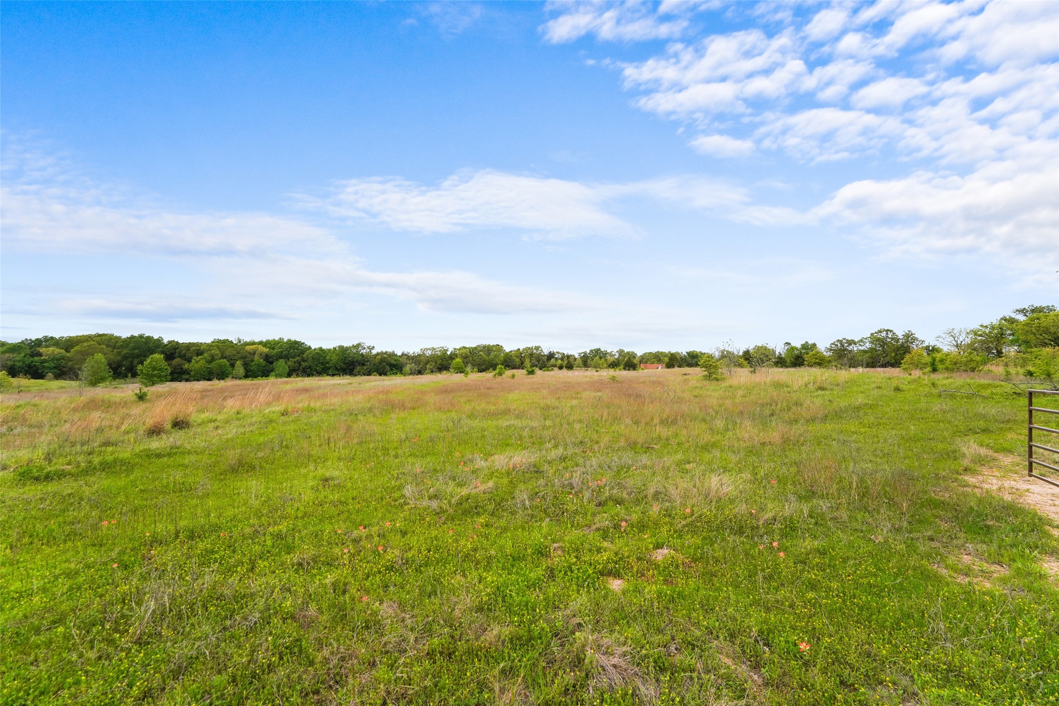 TBD Co Rd 1107, Canton, TX, 75117