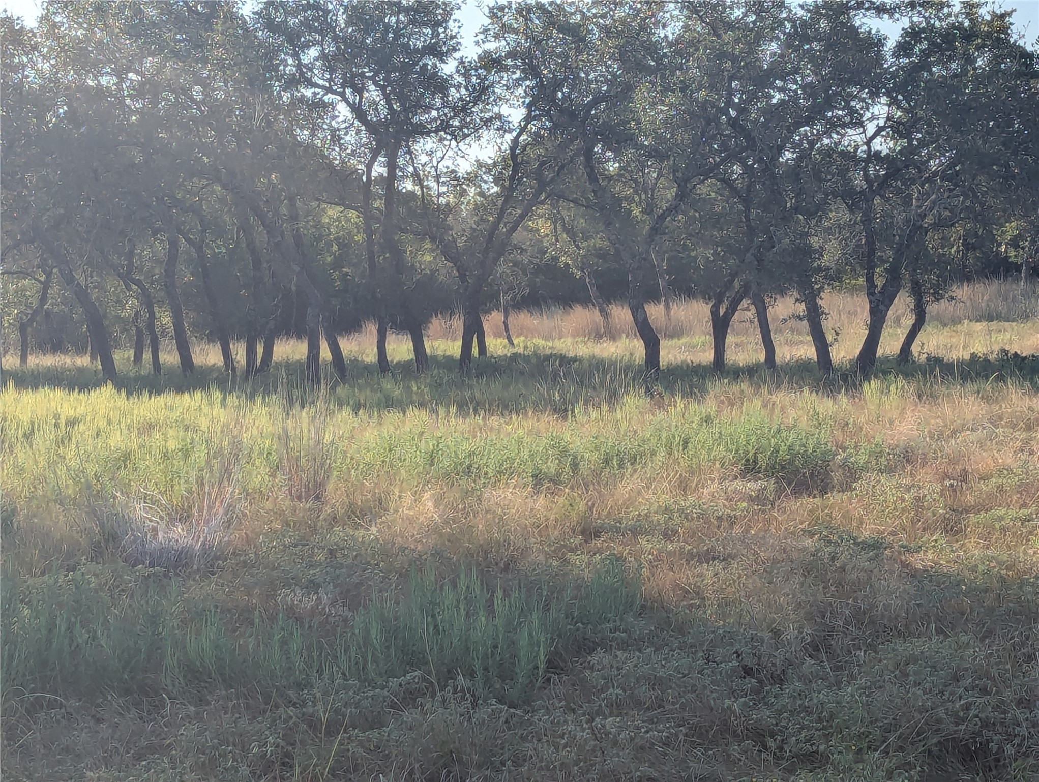 Tract 26 CR 633, Indian Gap, TX, 76531