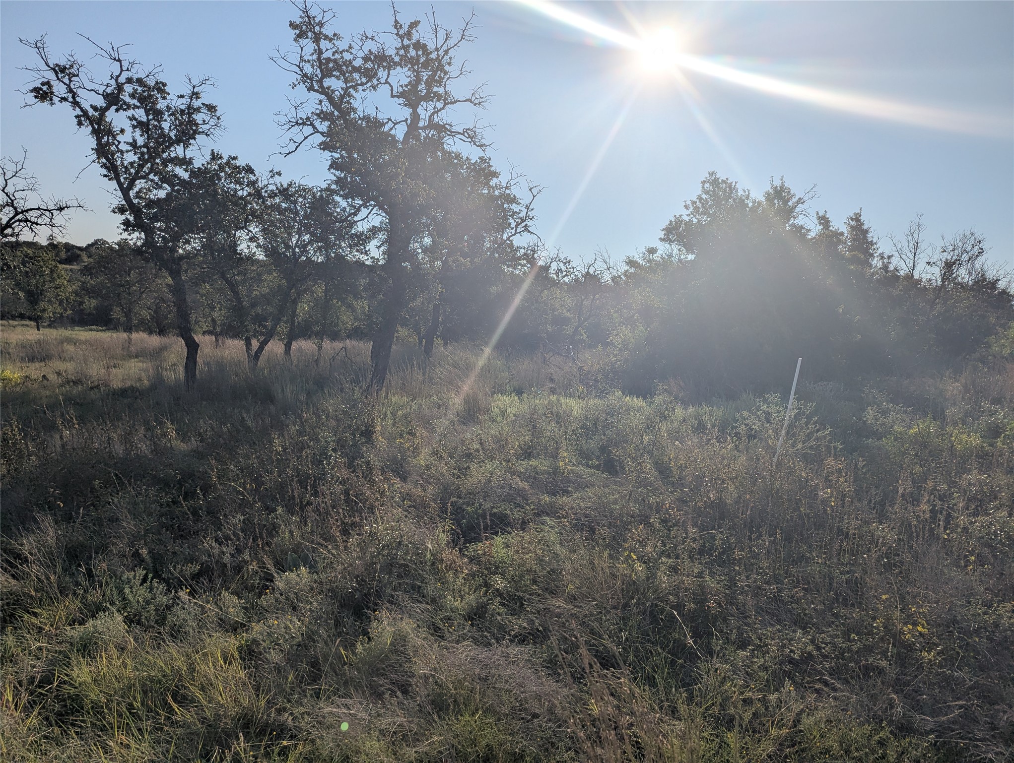 Tract 26 CR 633, Indian Gap, TX, 76531