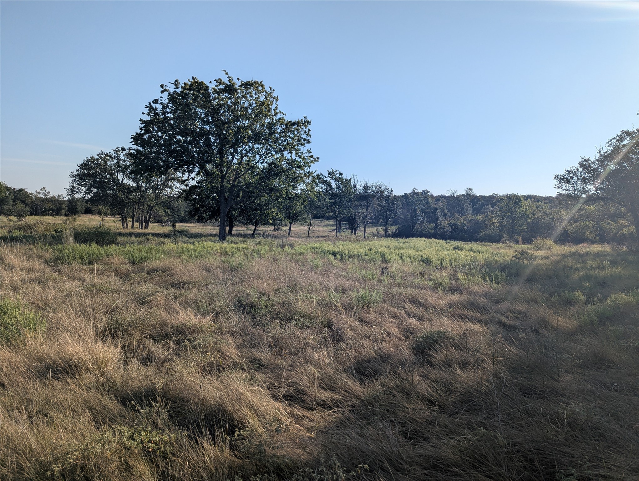 Tract 26 CR 633, Indian Gap, TX, 76531